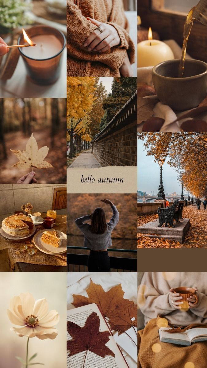 675x1200 autumn #fall #vibes #aesthetic #thatgirl #background #phonebackground #coffee #hotcocoa #cinnamonrolls #books #reading. Fall mood aesthetic wallpaper, Autumn cozy aesthetic wallpaper, Fall college wallpaper
