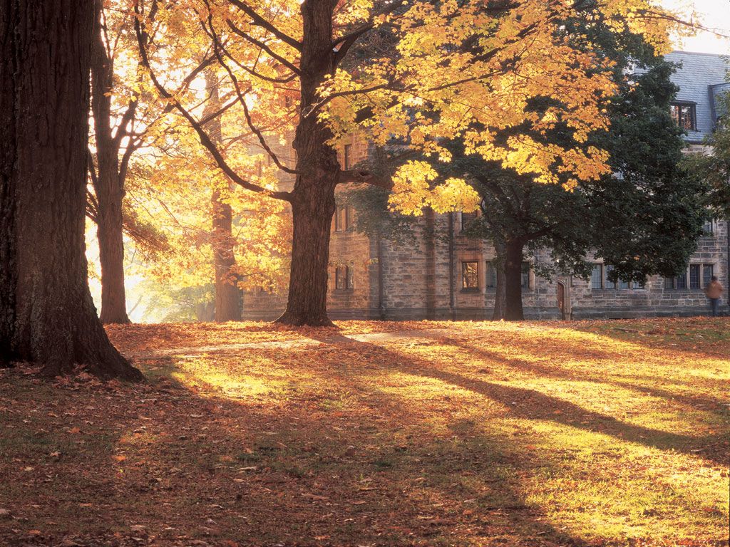 1024x768 First Years Sound Off: Fall Break « The Kenyon Thrill