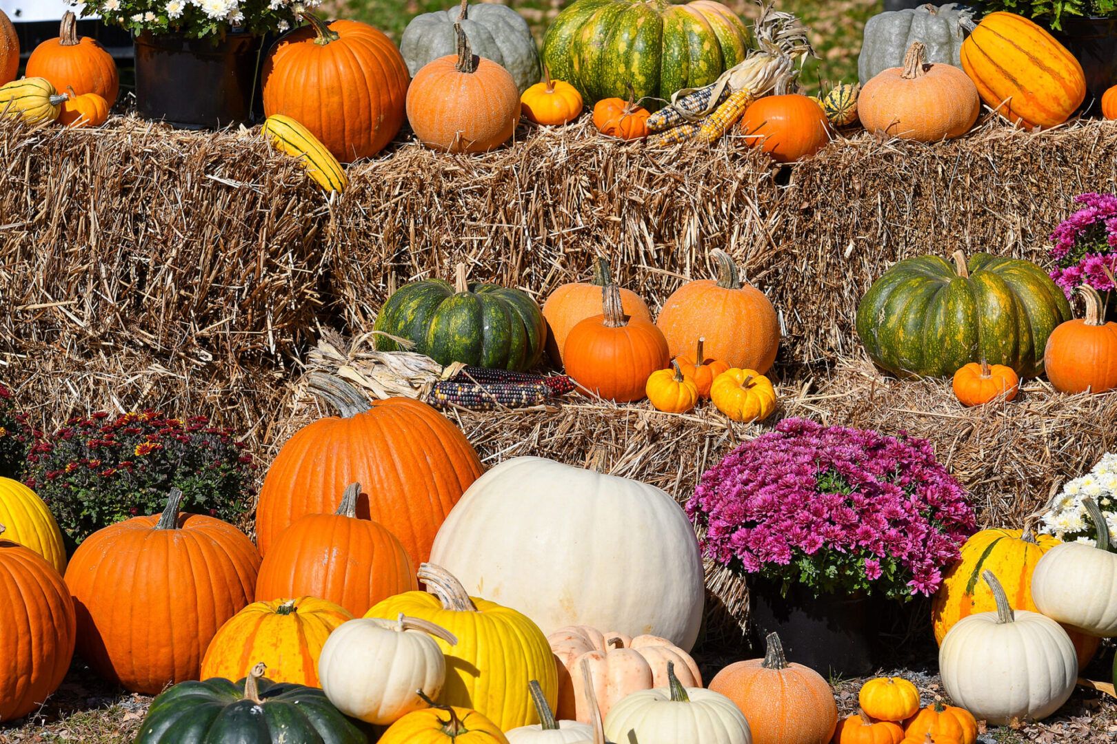 1620x1080 Fall Festivals Begin to Wind Down in Centre County. State College, PA