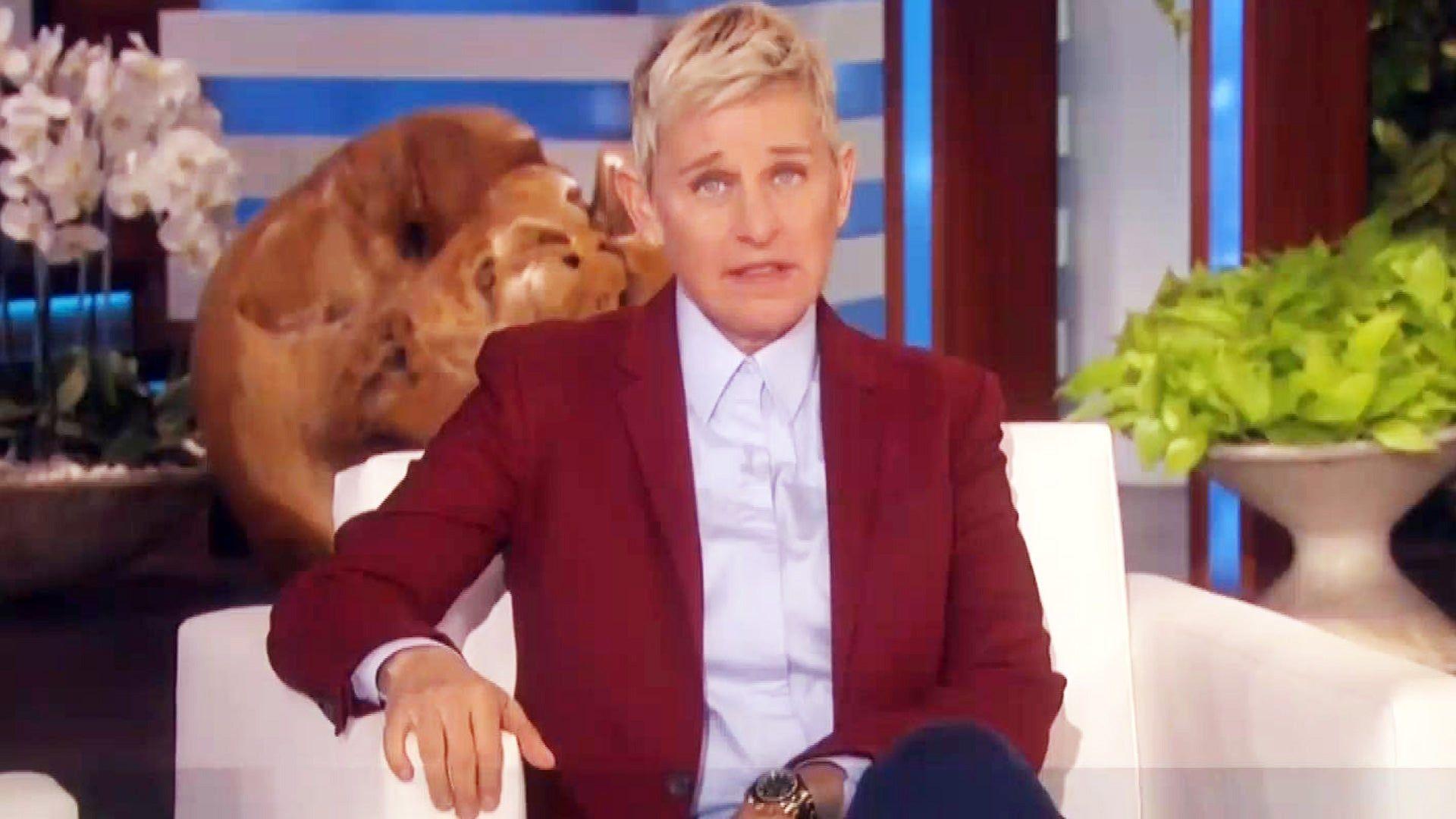 1920x1080 Brad Garrett Says Mistreatment by Ellen DeGeneres Is 'Common Knowledge, ' Scooter Braun Defends Her