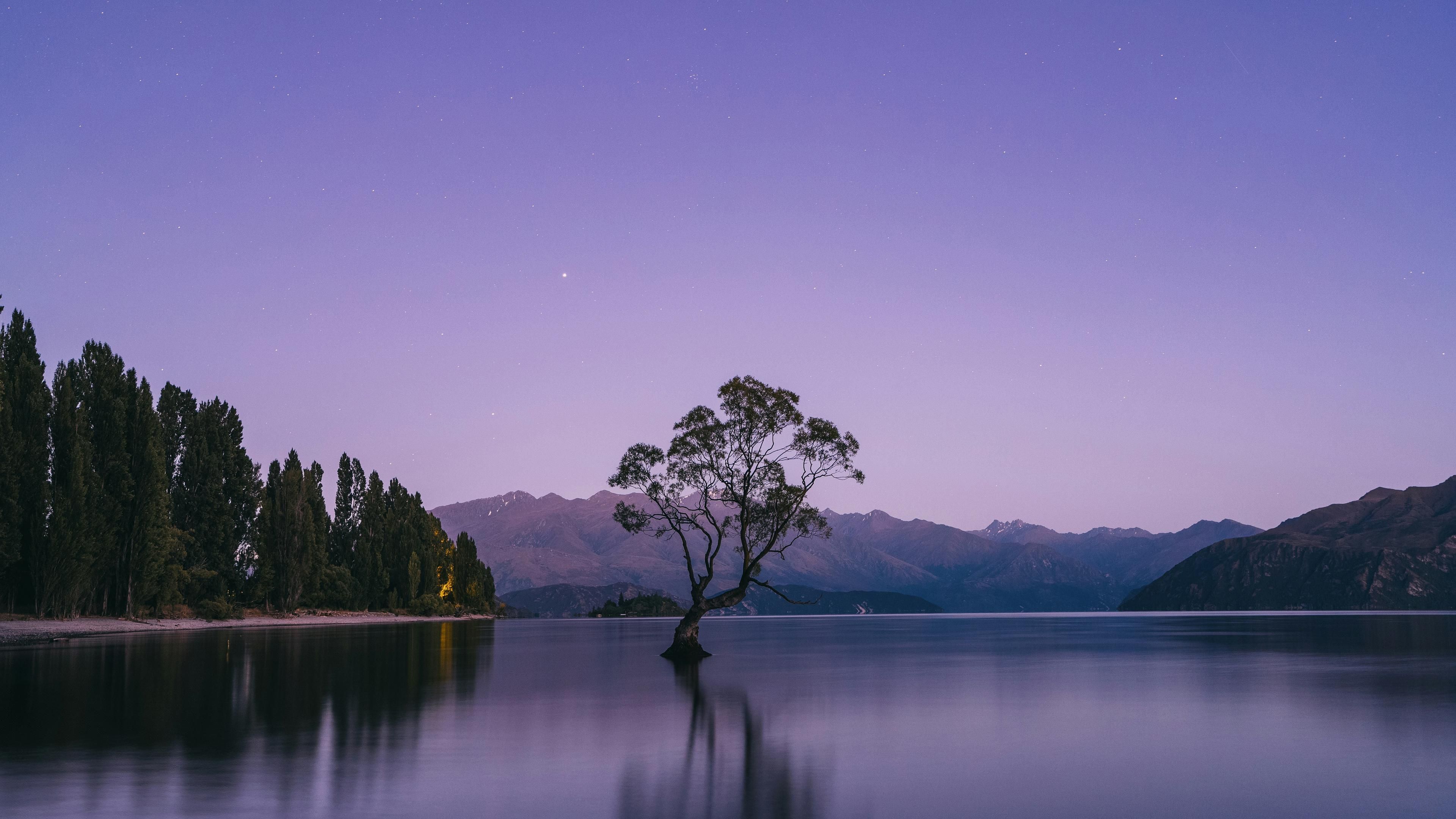 3840x2160 That Wānaka Tree, Lake Wānaka, New Zealand