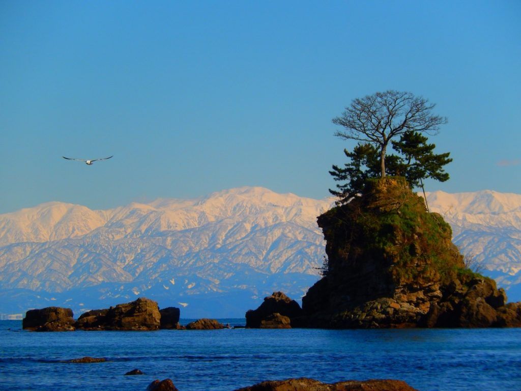 1024x768 Tateyama Mountains: Viewing Spots Monkey Resorts