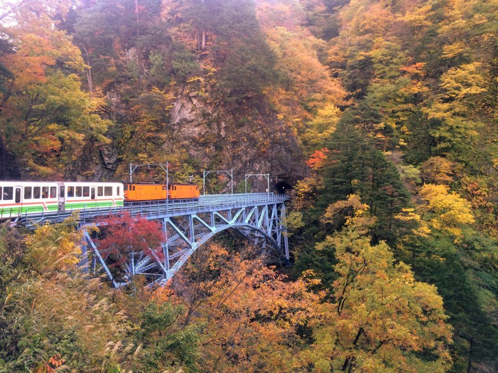 1024x768 Toyama in October 2026 to Know Monkey Resorts