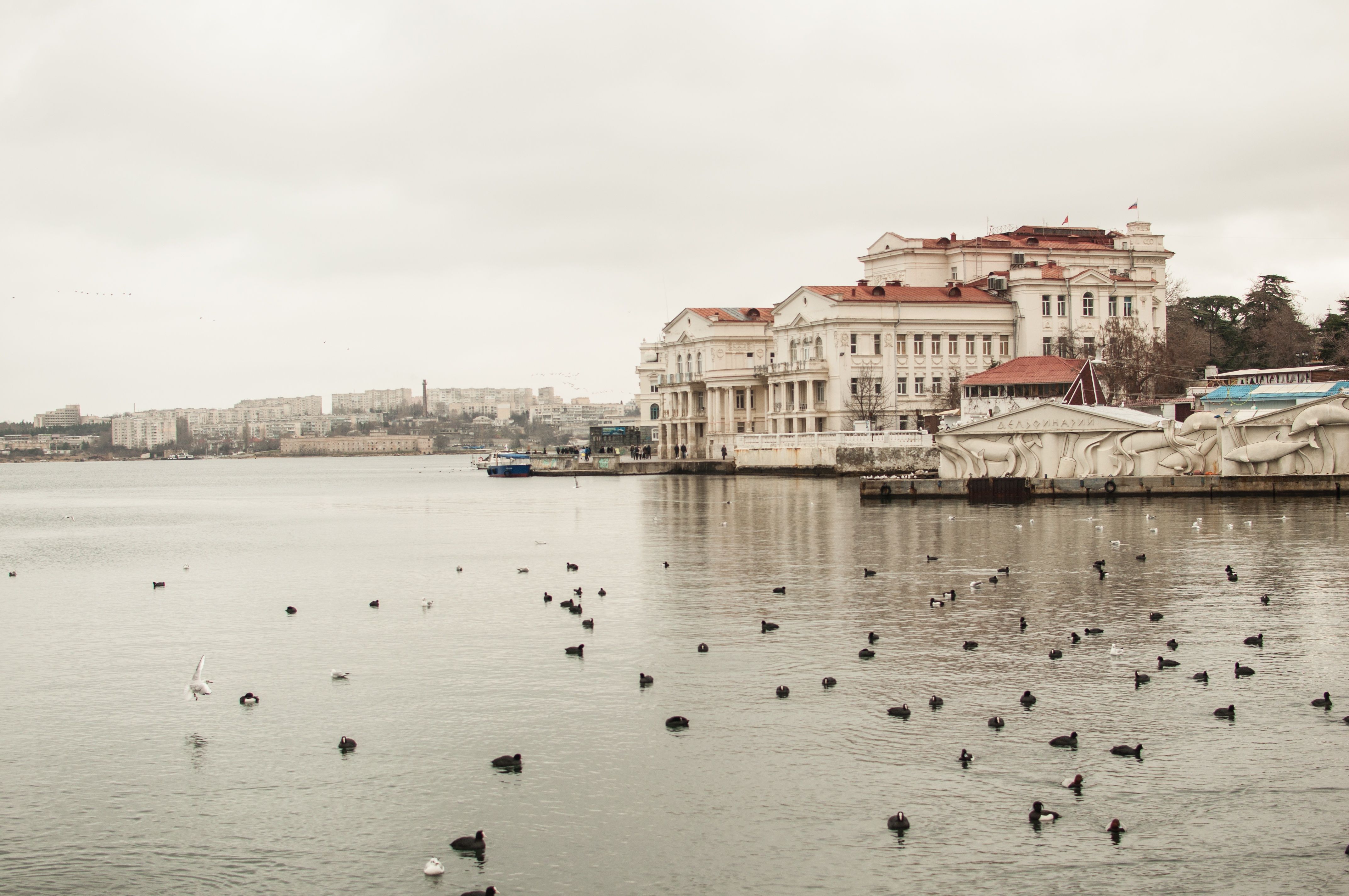 4288x2848 Download Russia Sevastopol Crimea Sea Man Made City 4k Ultra HD Wallpaperx2848