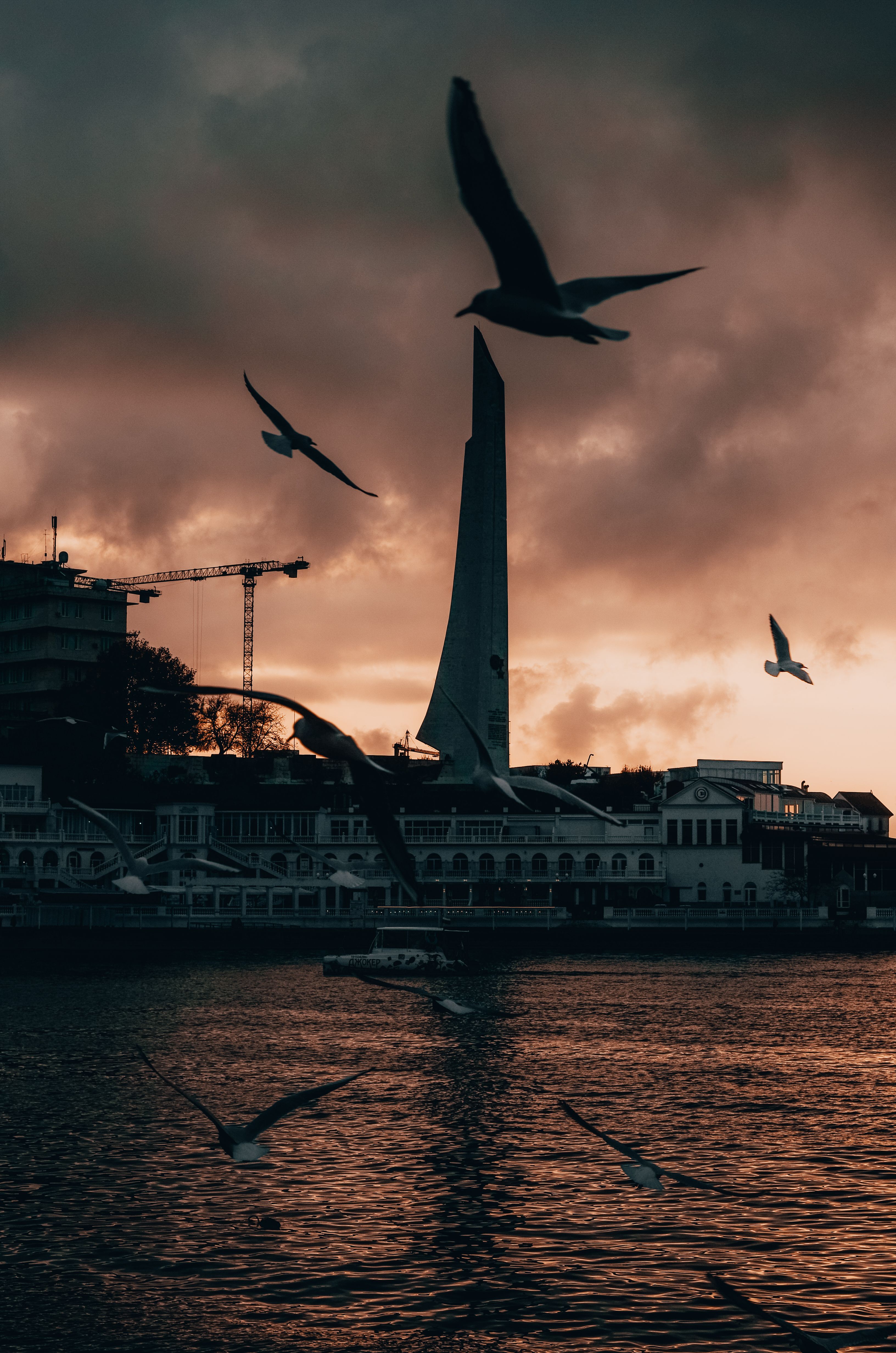 3264x4928 Sevastopol Photo, Download The BEST Free Sevastopol & HD Image