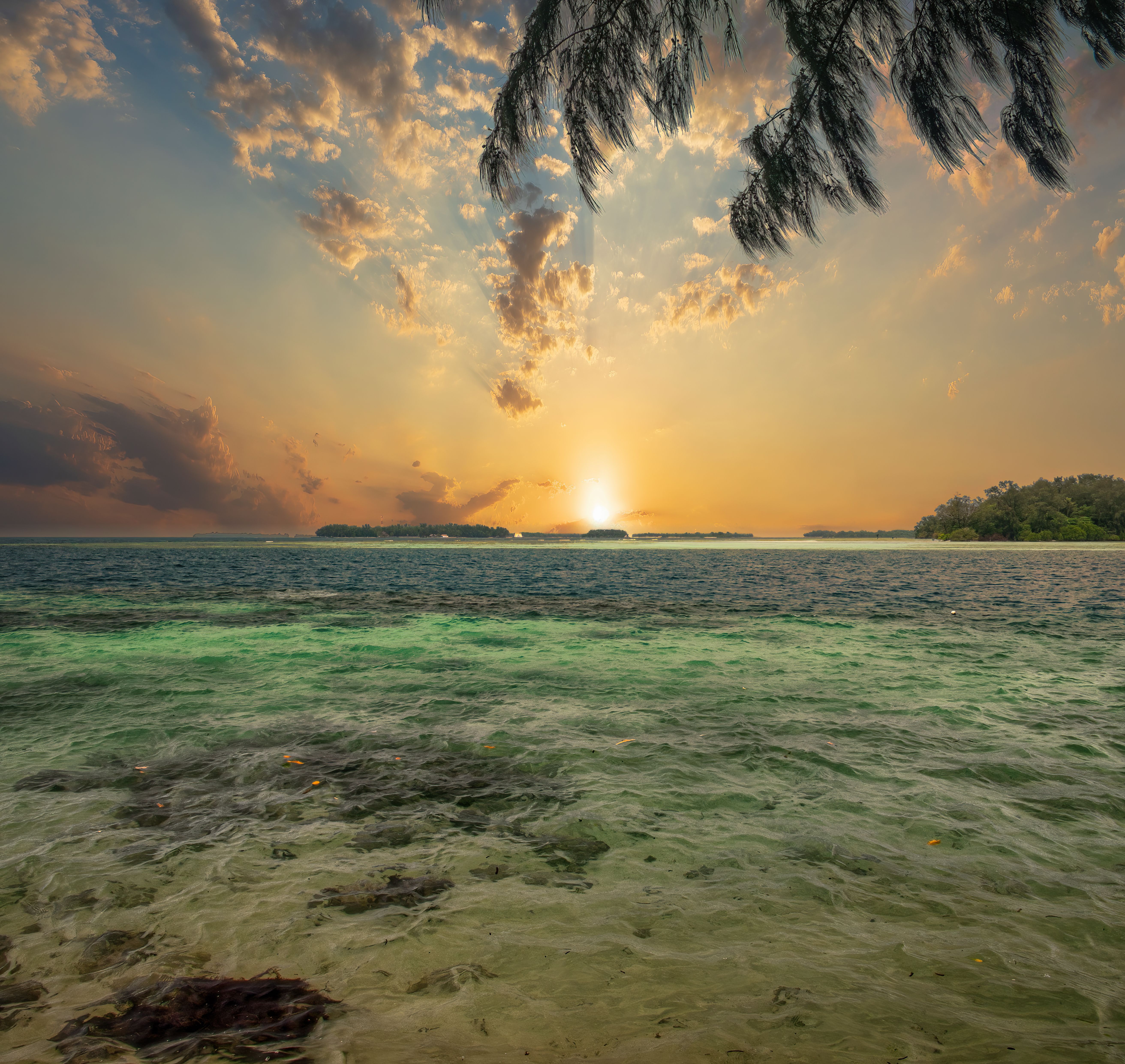 5248x4963 Beach and Palm Trees · Free