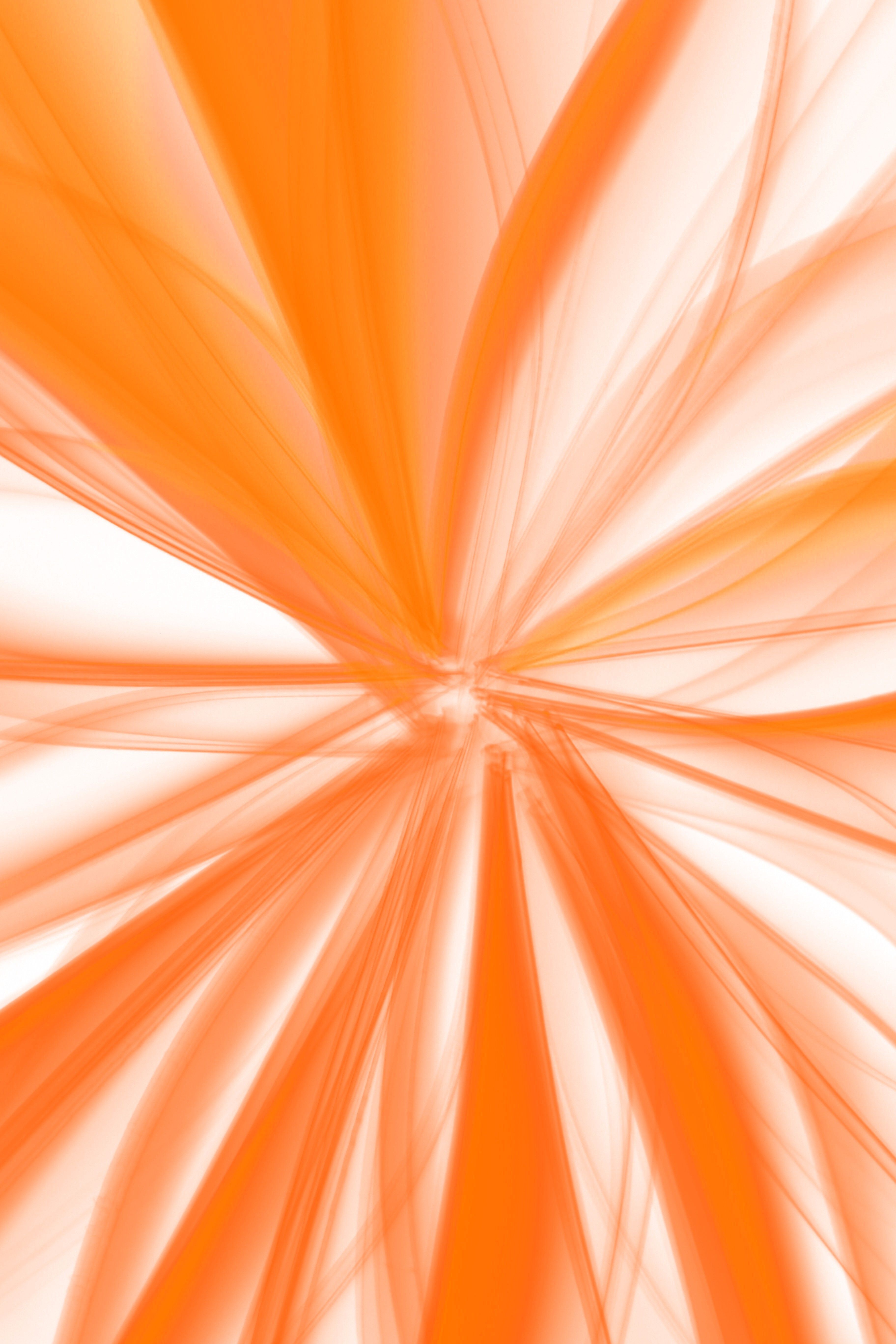 3648x5472 Light Orange Background Photo, Download The BEST Free Light Orange Background & HD Image