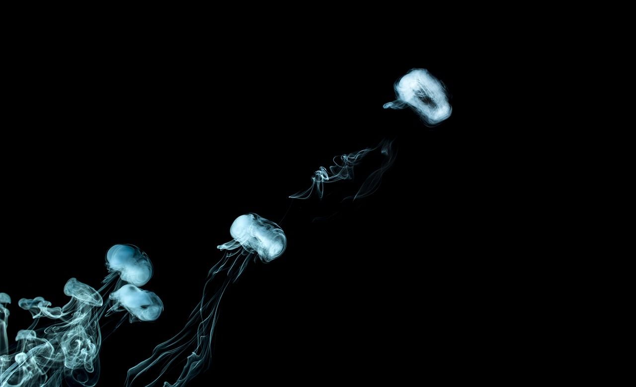 1280x778 Smoke Rings Fog