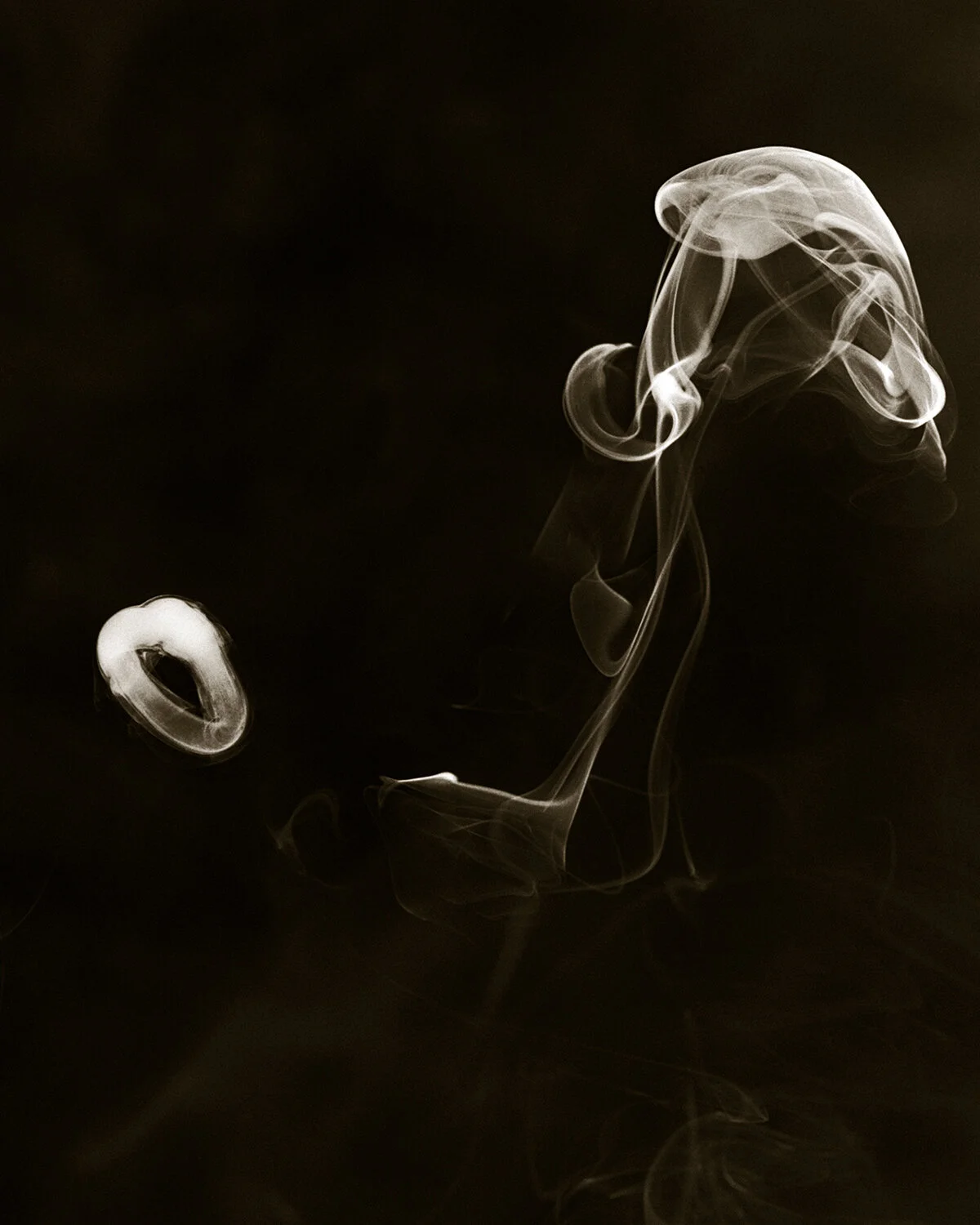 1200x1500 Smoke Rings