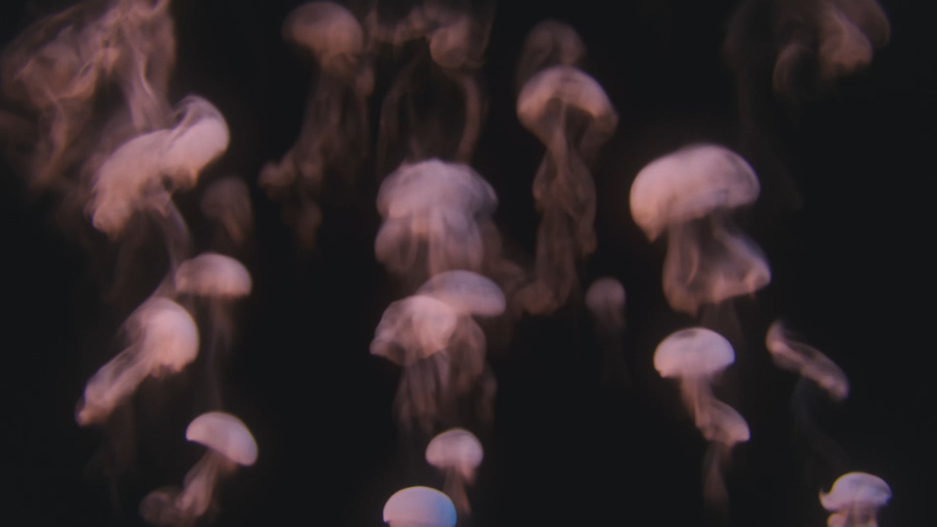 1920x1080 infinite smoke rings