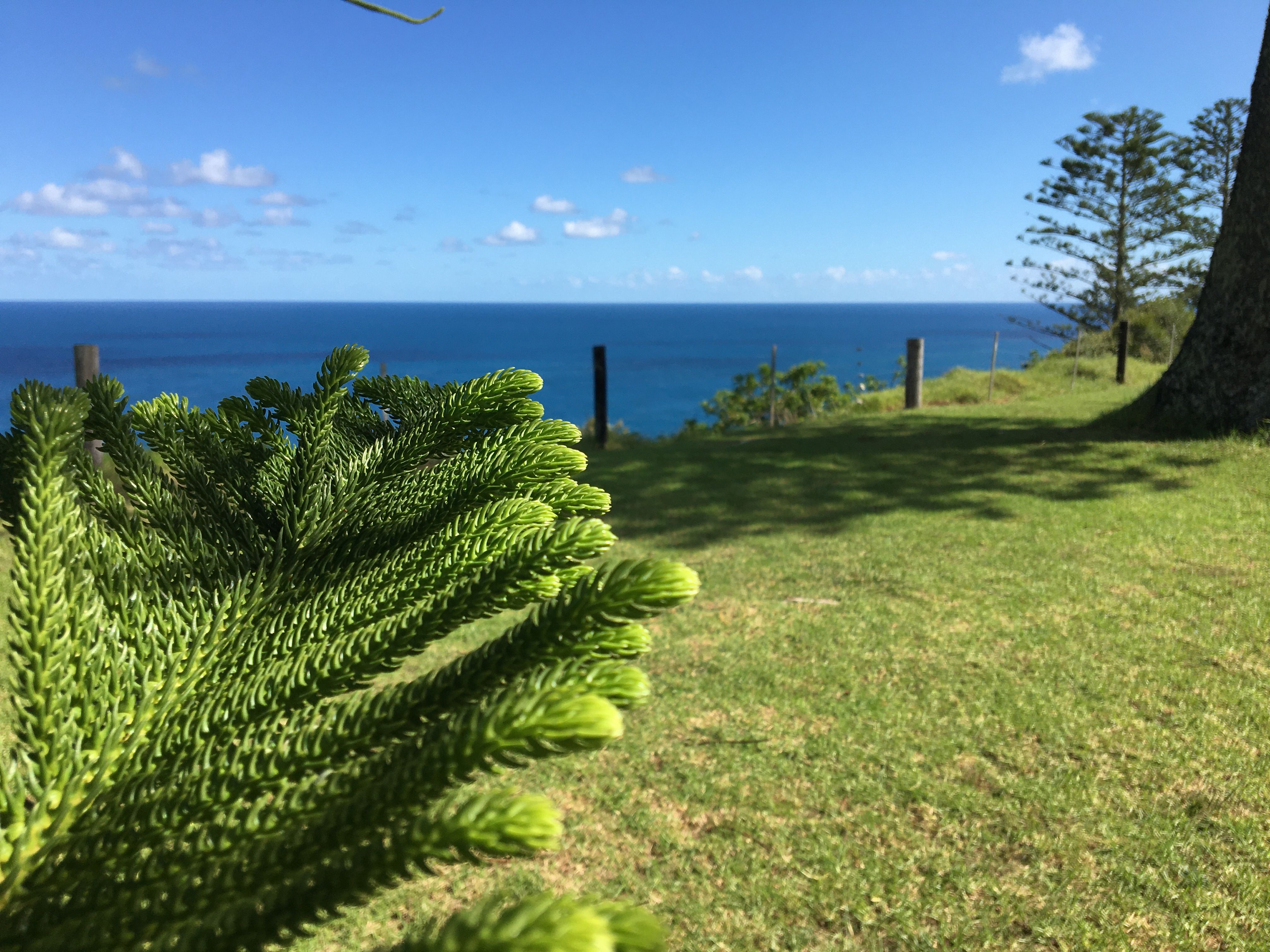 4032x3024 Norfolk Island Fun Facts