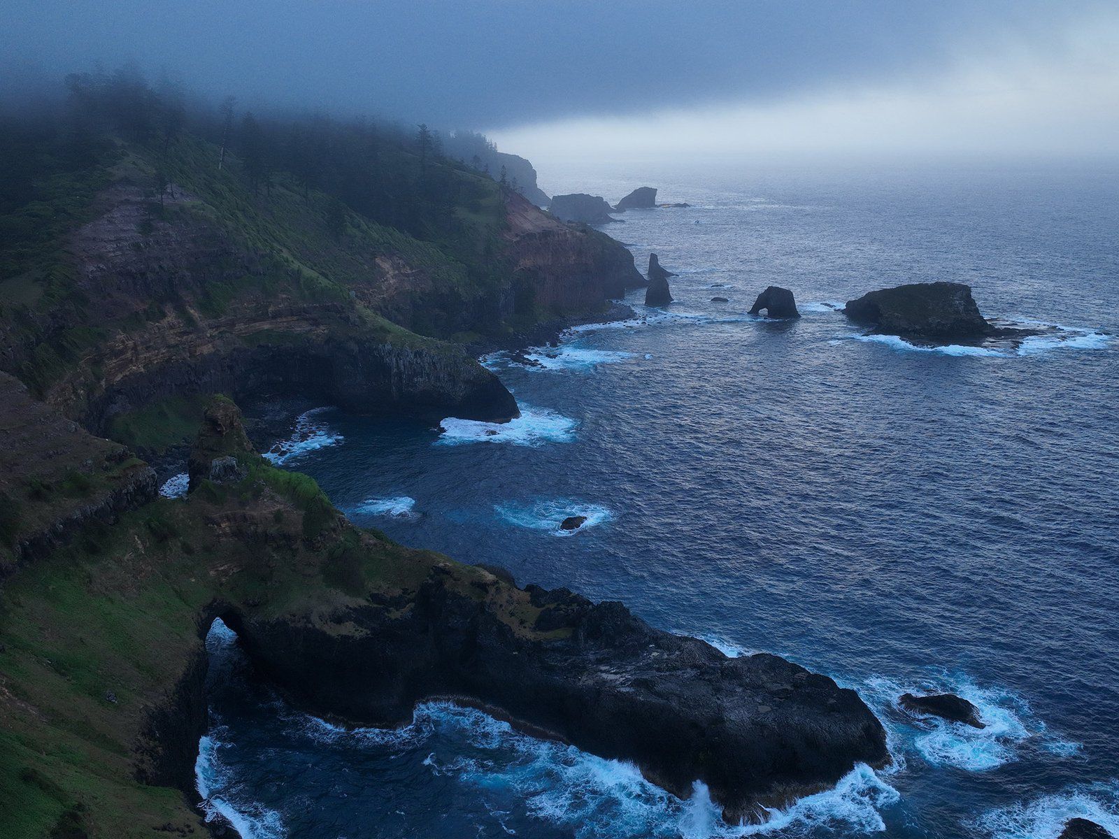 1600x1200 Norfolk Island expedition: Understanding a South Pacific jewel Australian Museum Blog