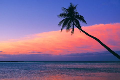 480x320 Look at the pink sunset from the beach wallpaper