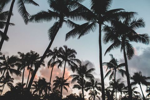 480x320 Free Summer Wallpaper For Desktop. HD & Royalty Free Background