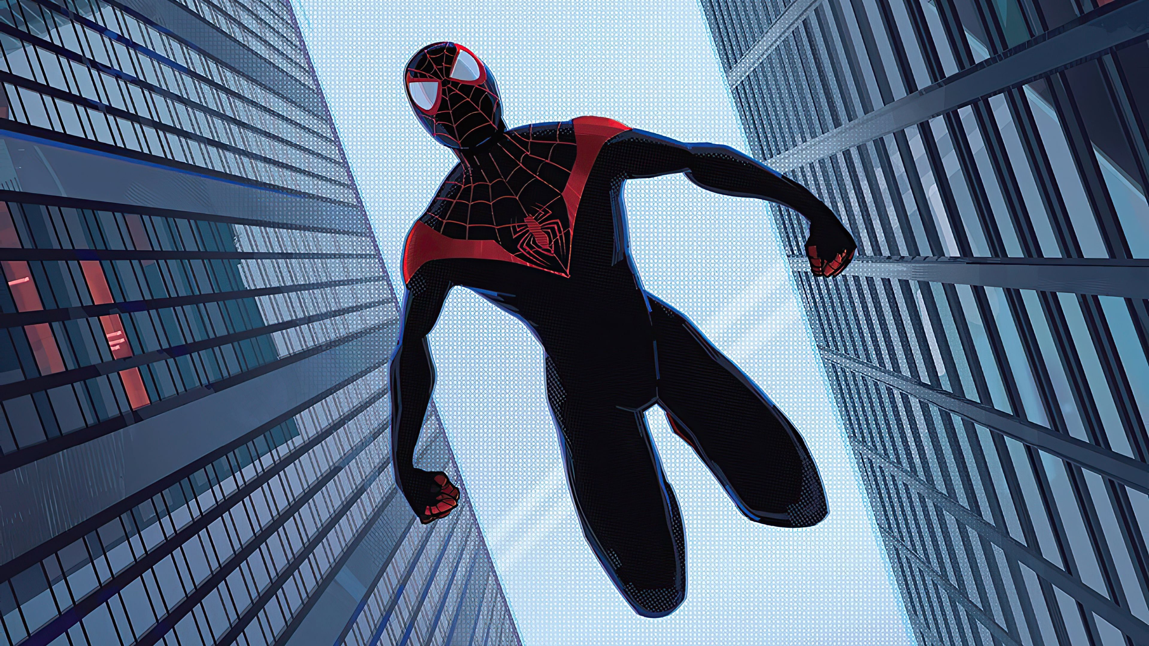 3840x2160 Spiderman Miles Morales falling between buildings Wallpaper 4K for Desktop