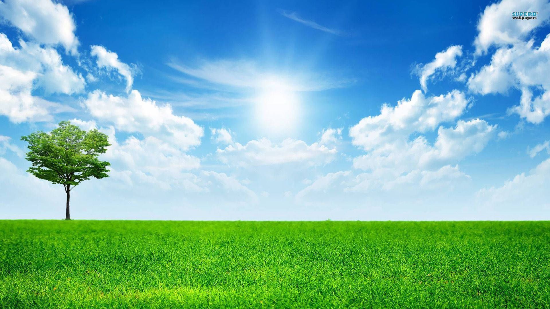 1920x1080 Download Take in the beauty of a summer sky with wispy clouds Wallpaper