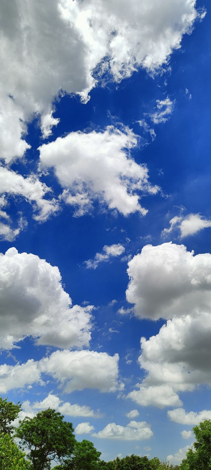 736x1635 Best Sky HD wallpaper #nature