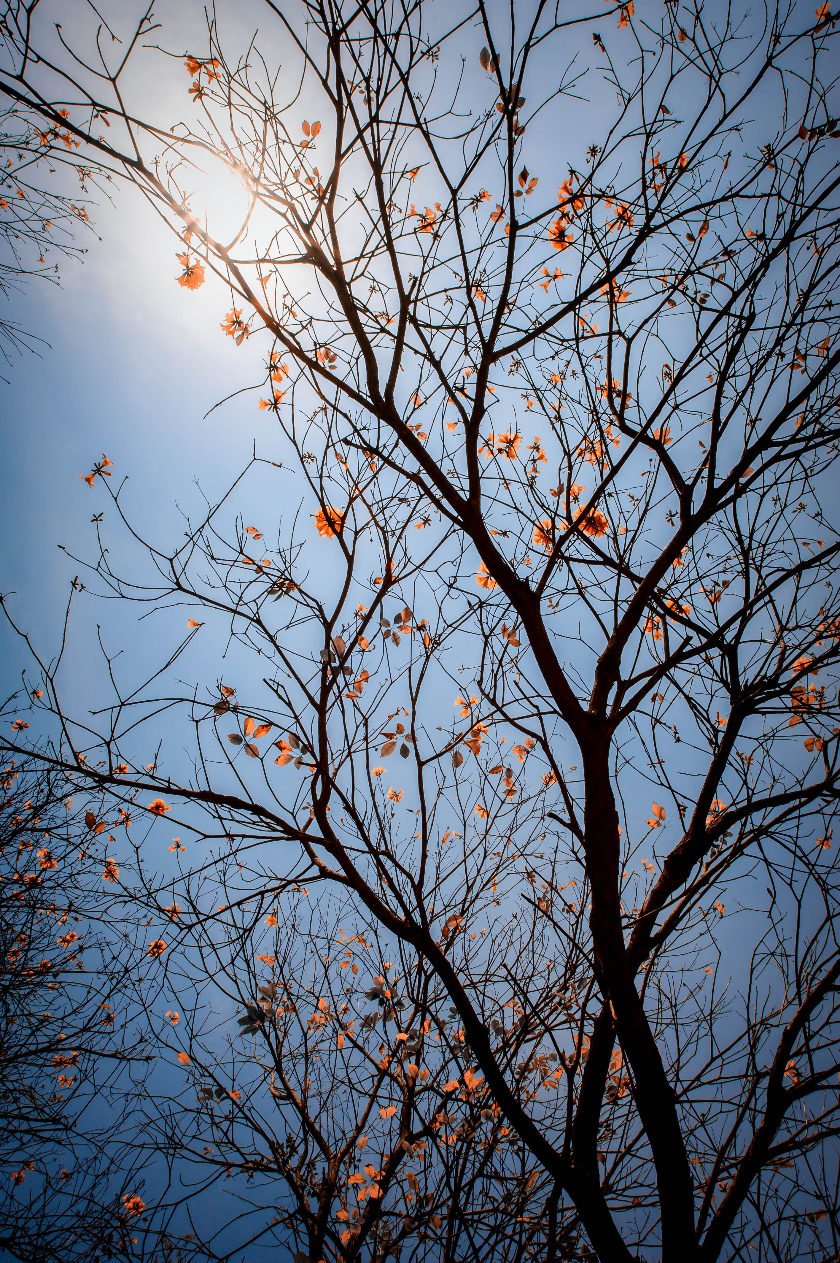 2832x4256 Sky Phone Wallpaper: Free 4K & HD Downloads