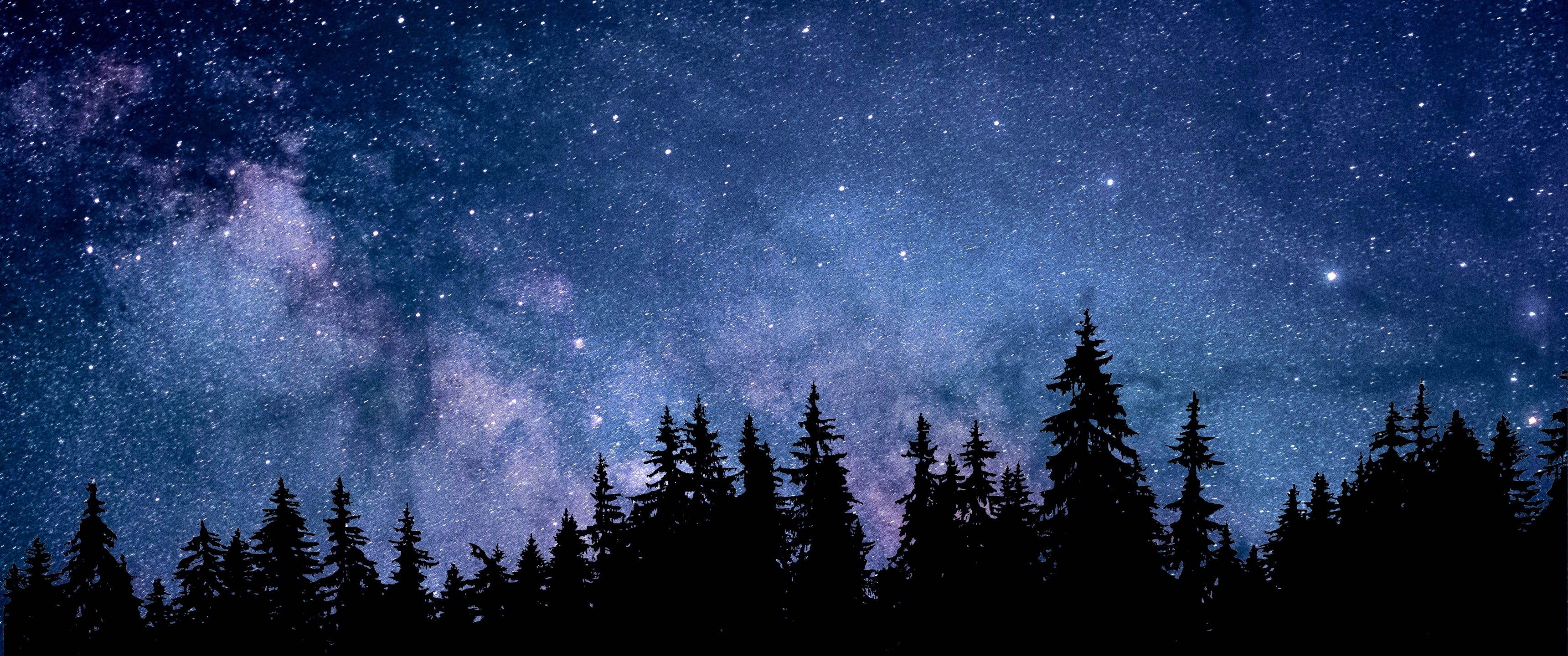 3440x1440 Night Wallpaper 4K, Starry sky, Forest, Silhouette