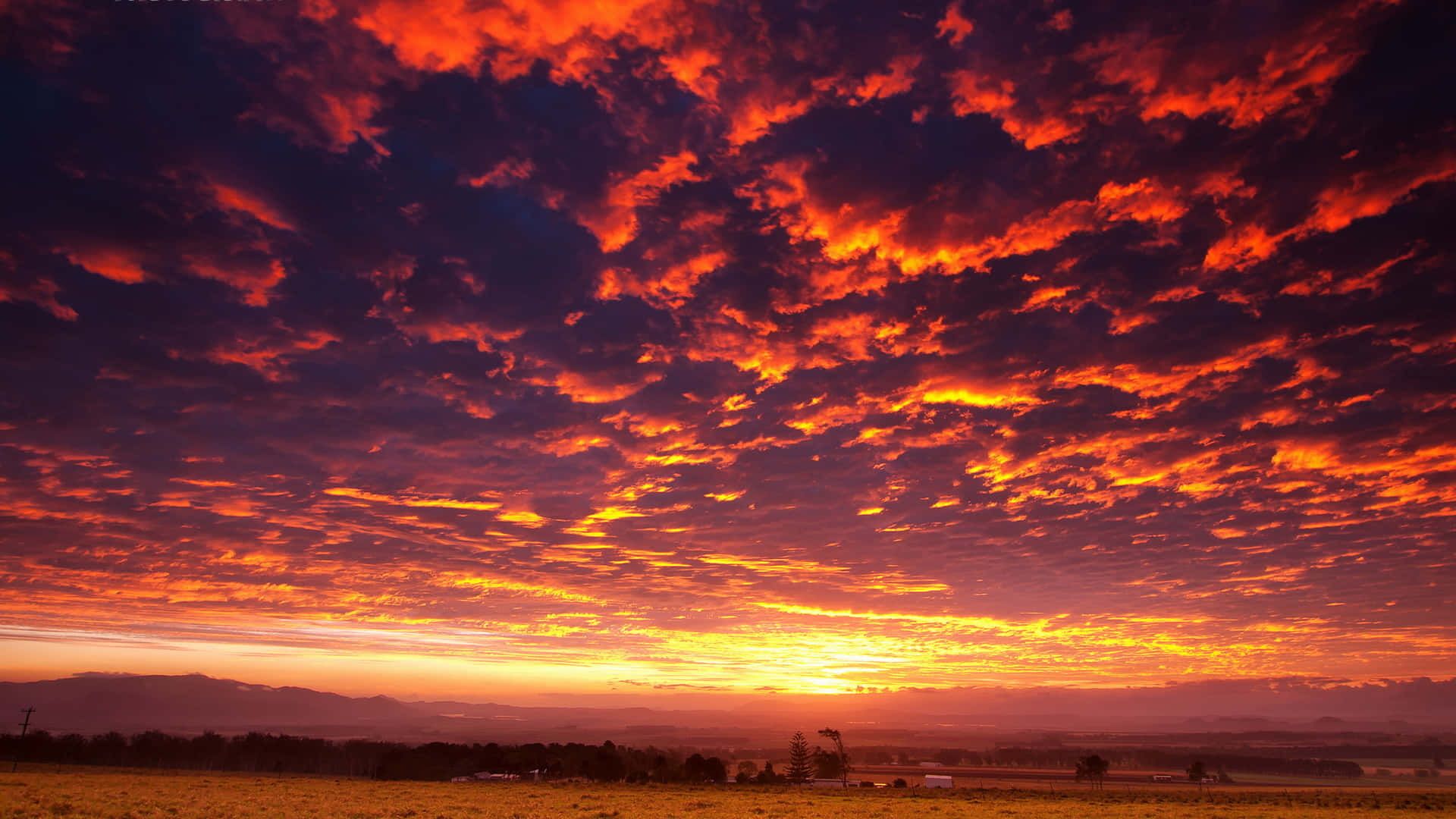 1920x1080 Download Sunset Sky Background