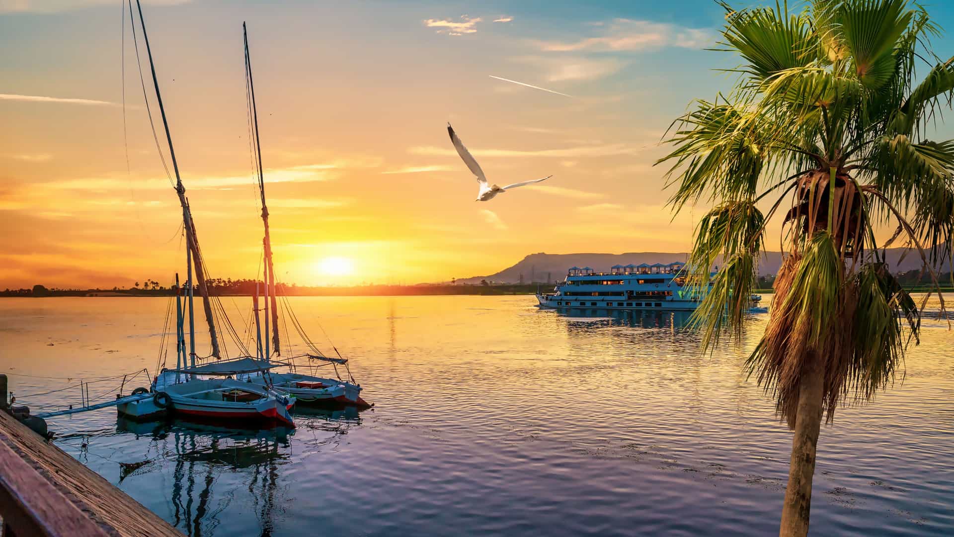 1920x1080 MSC Cruises Cruises to Nile River: 2026 Sailings & Deals. The Cruise Web
