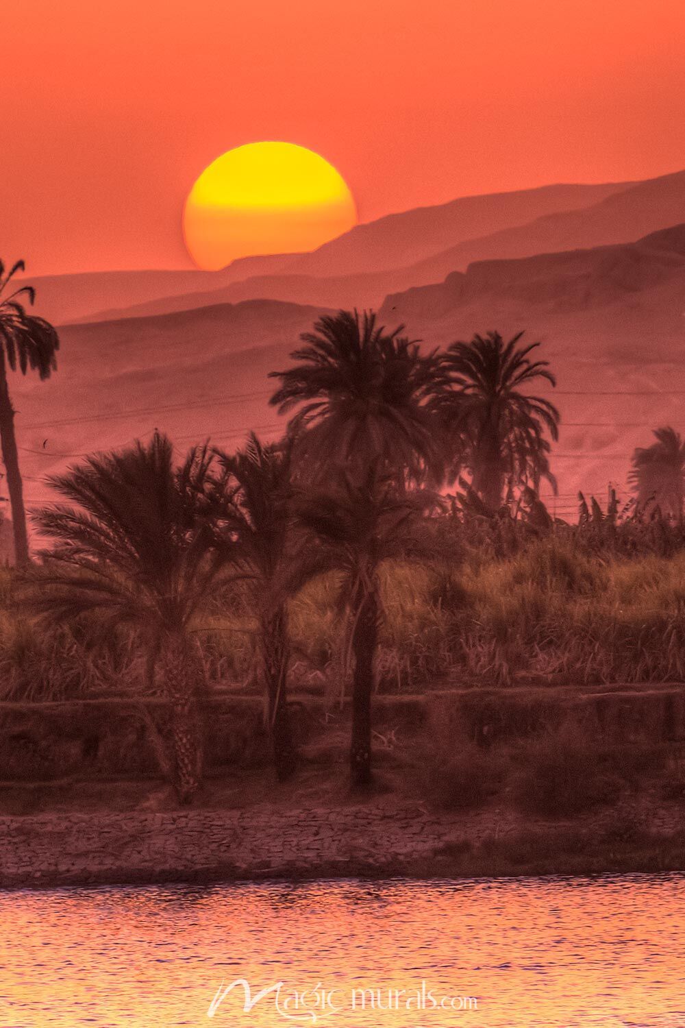 1000x1500 Timeless Nile Sunset Wallpaper Mural