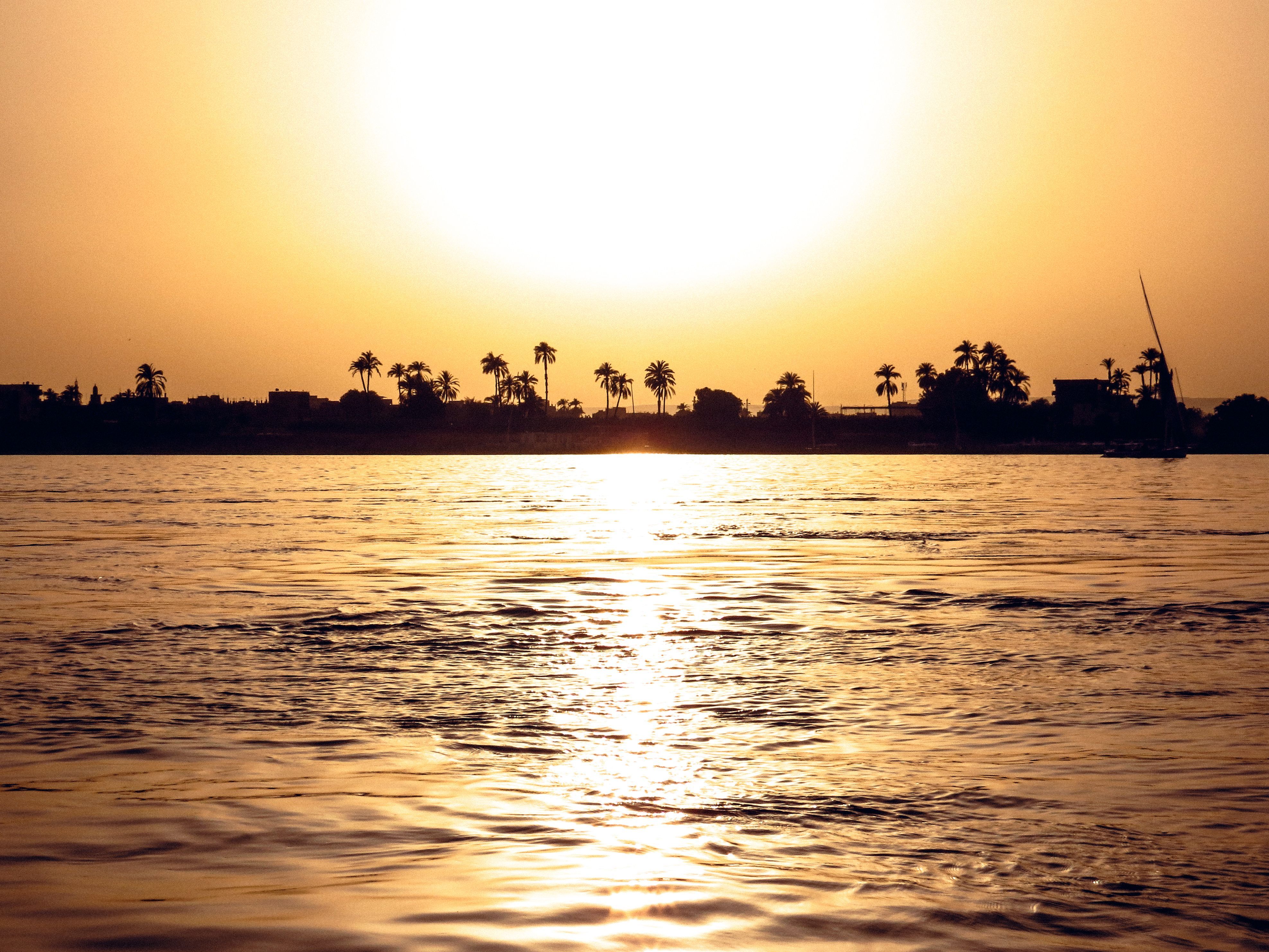 3950x2963 Silhouette of Palm Trees and Sea at Sunset · Free