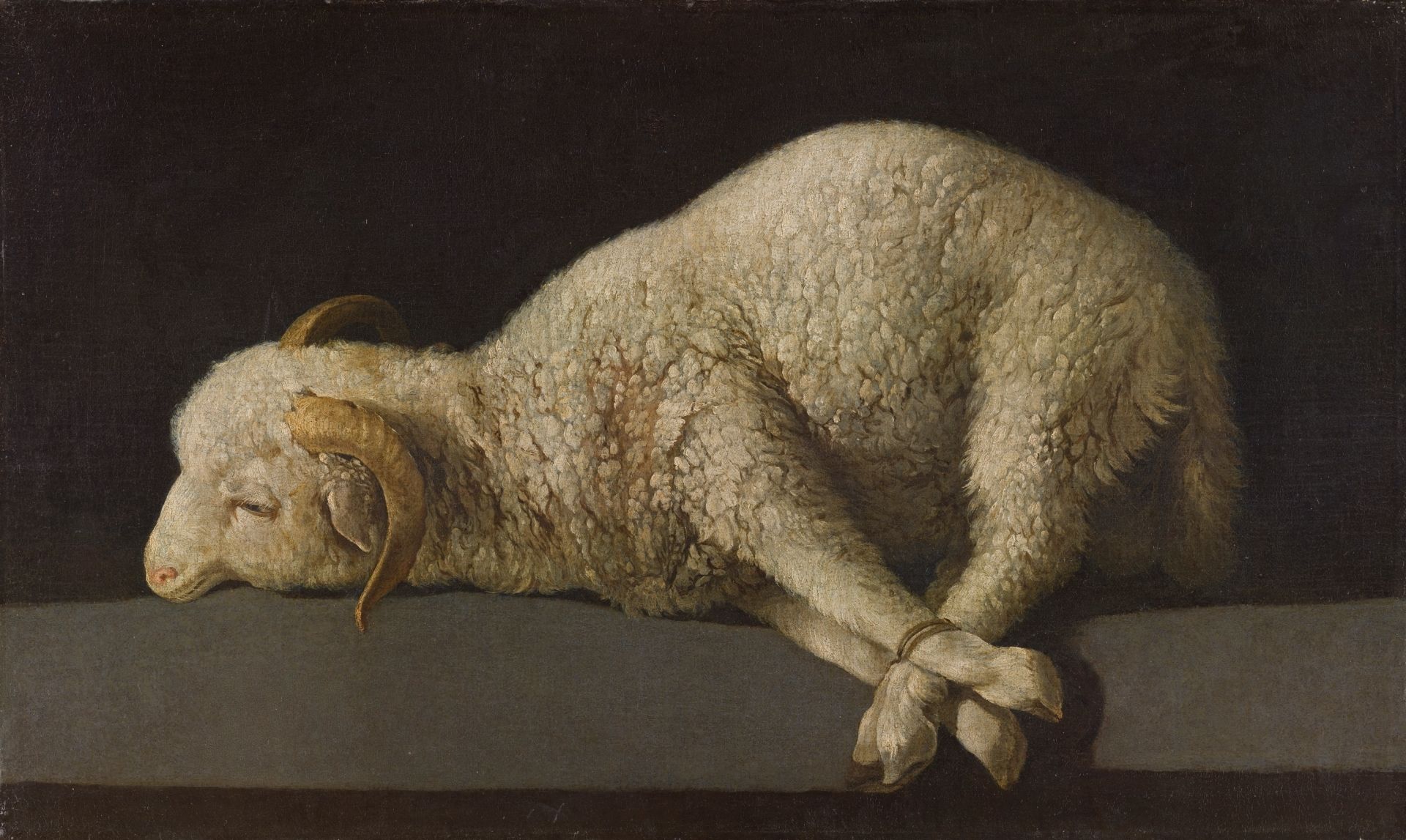 1920x1147 A lamb Collection Nacional del Prado