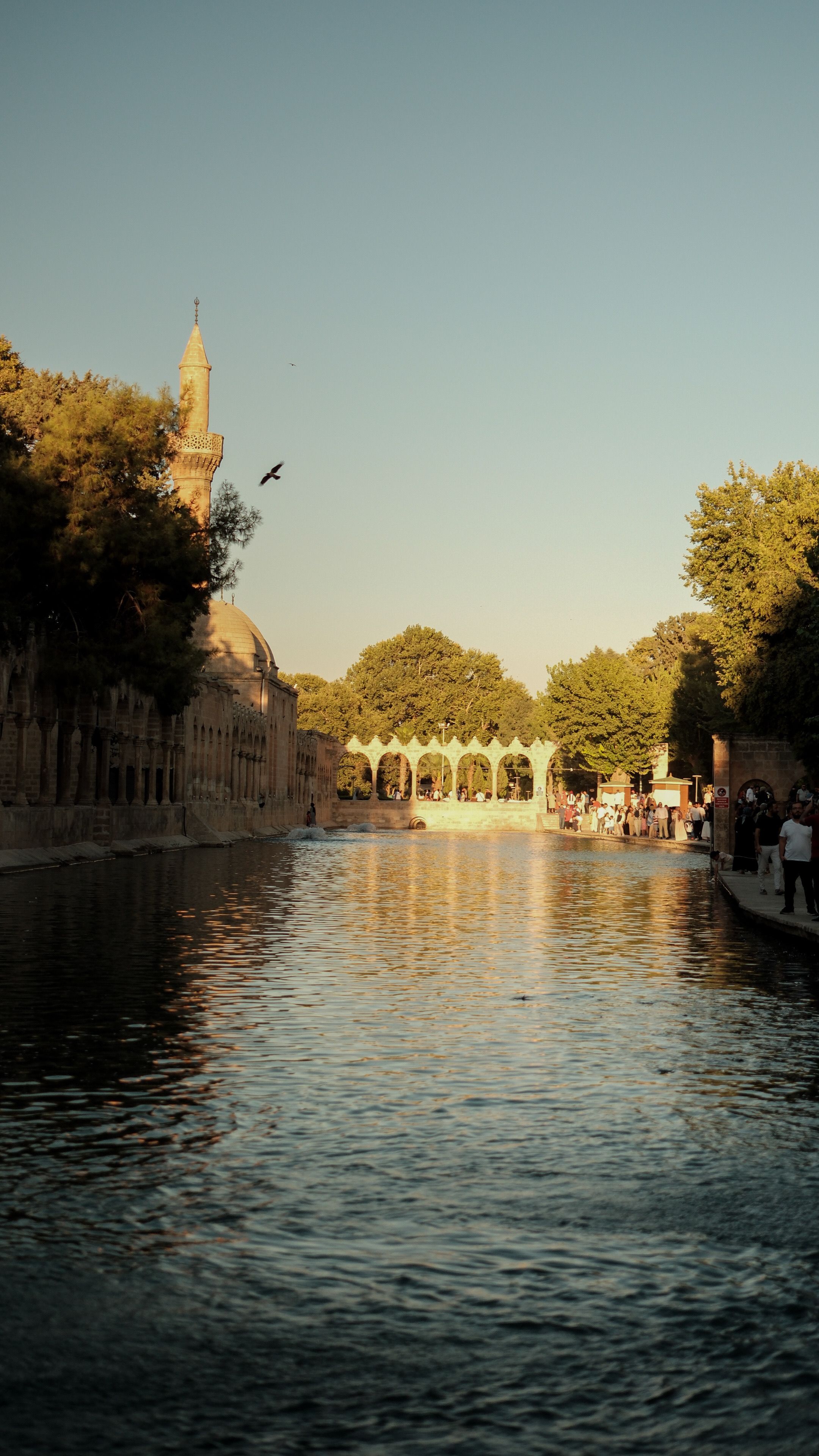 2160x3840 Historic Balıklıgöl at Sunset in Şanlıurfa · Free