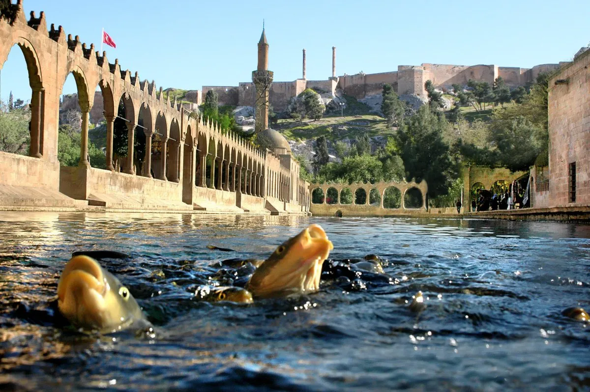 1200x798 Sanliurfa of Prophets