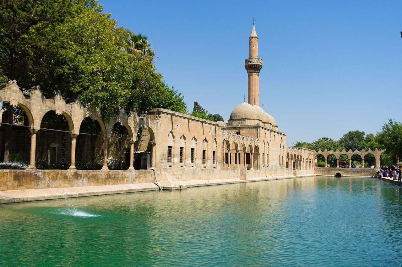 1280x853 Biodiversity of Şanlıurfa · iNaturalist
