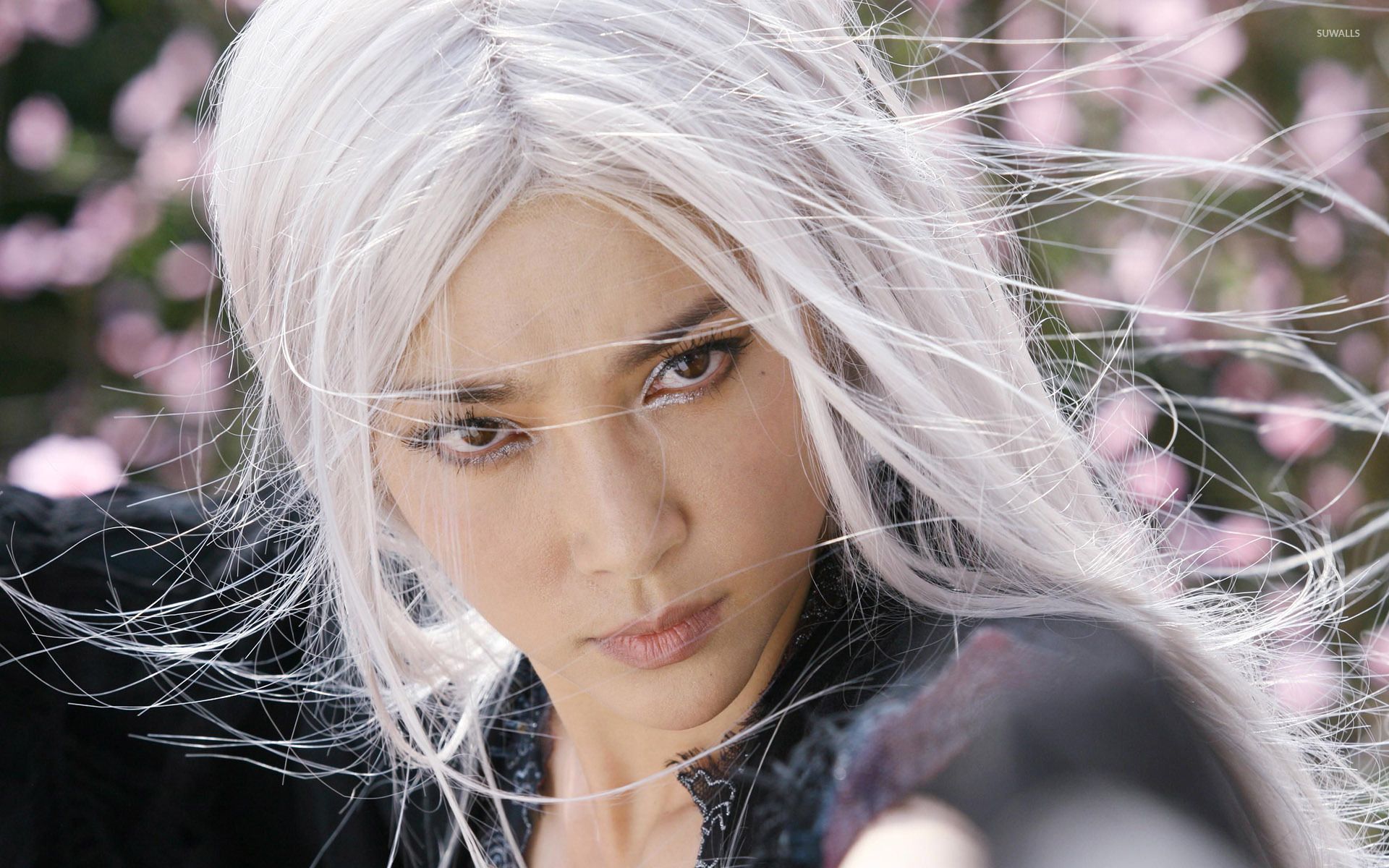 1920x1200 White Haired Witch Forbidden Kingdom Wallpaper Wallpaper