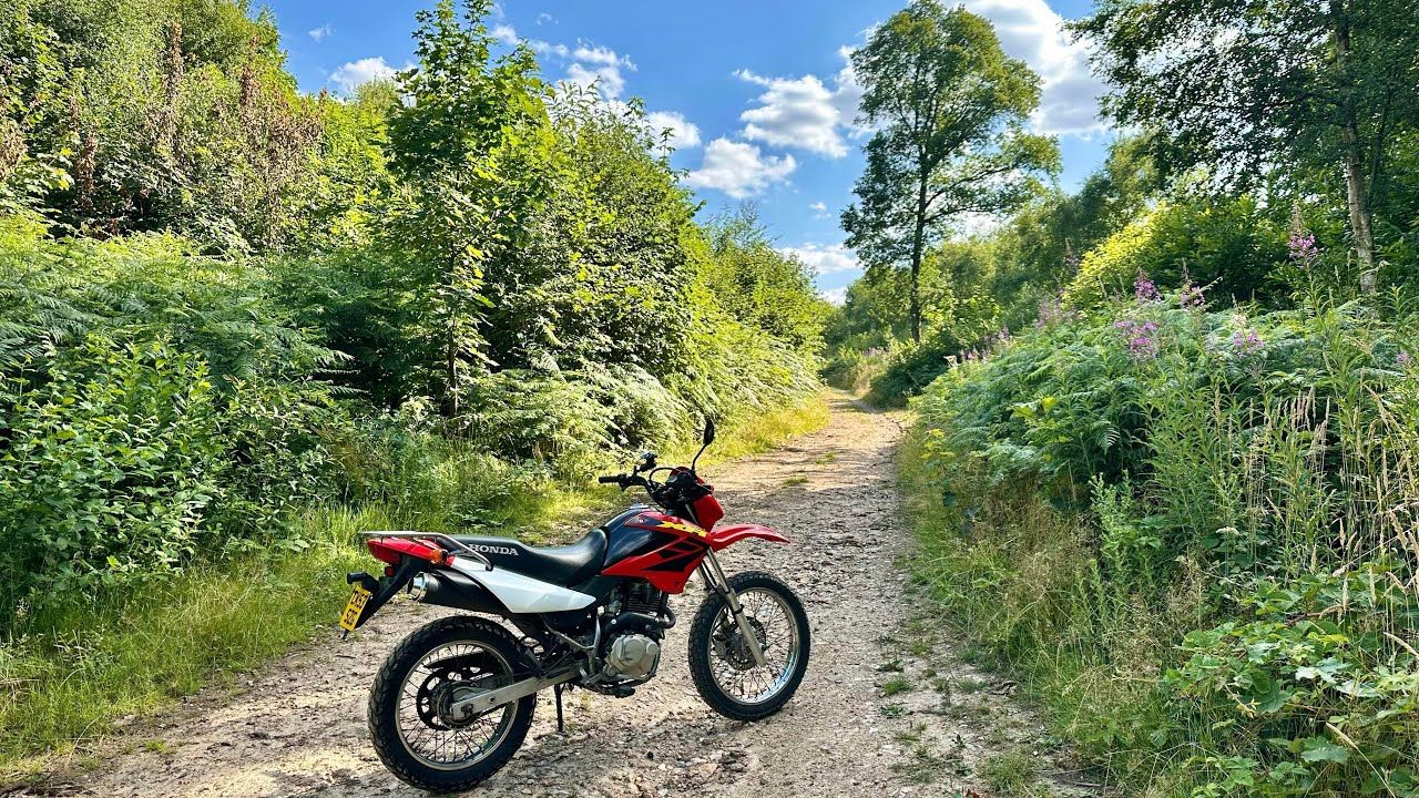 1280x720 Honda xr 125 trail blast and free curry!