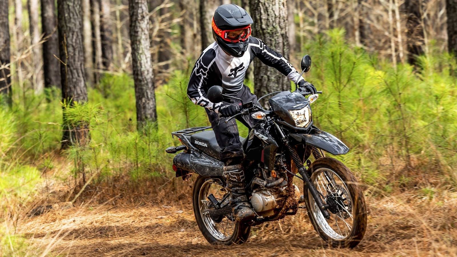1600x900 The Honda XR150L Is A Sleeper Dual Sport Bike That Everyone's Overlooking