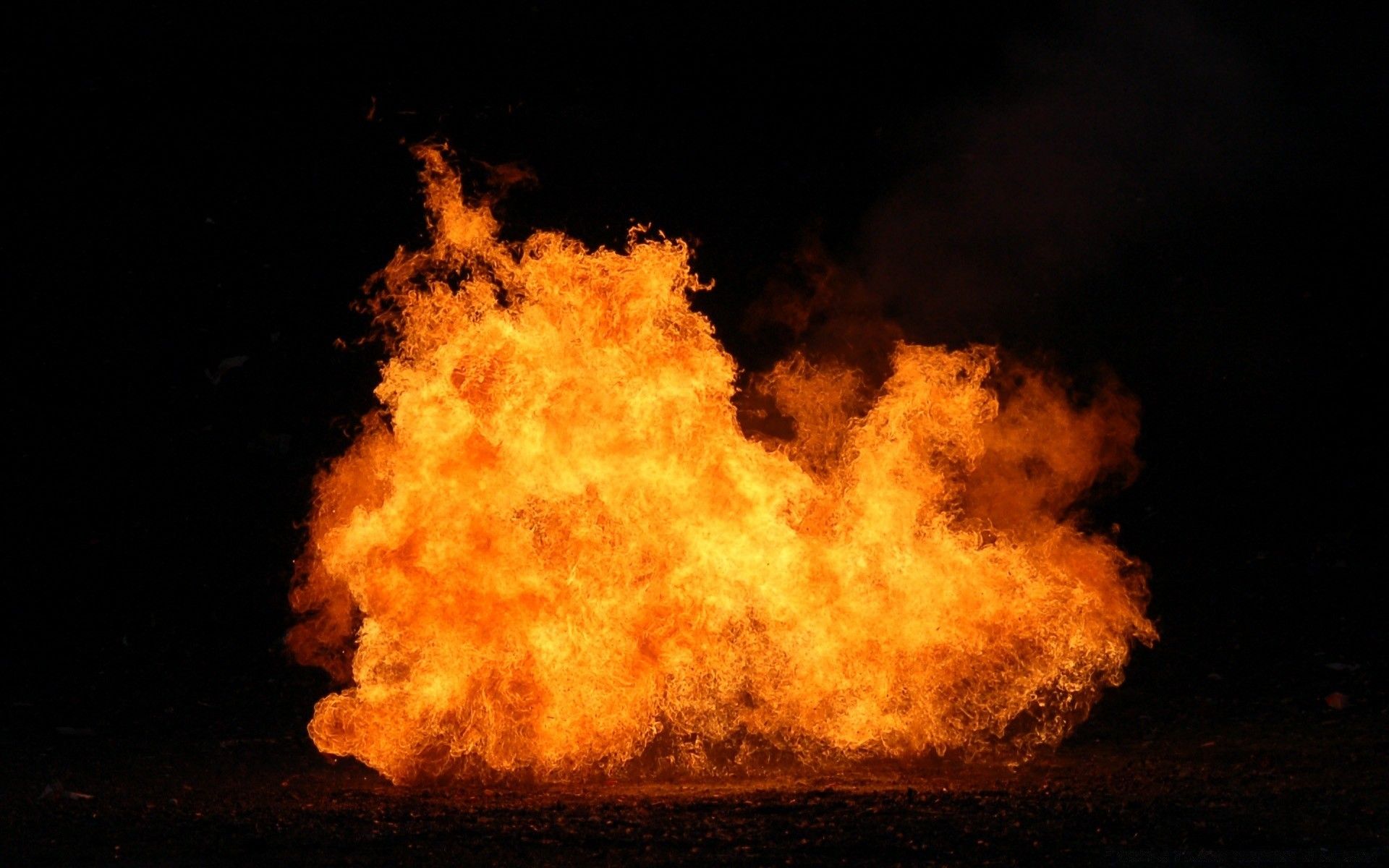1920x1200 Blazing Fire On A Black