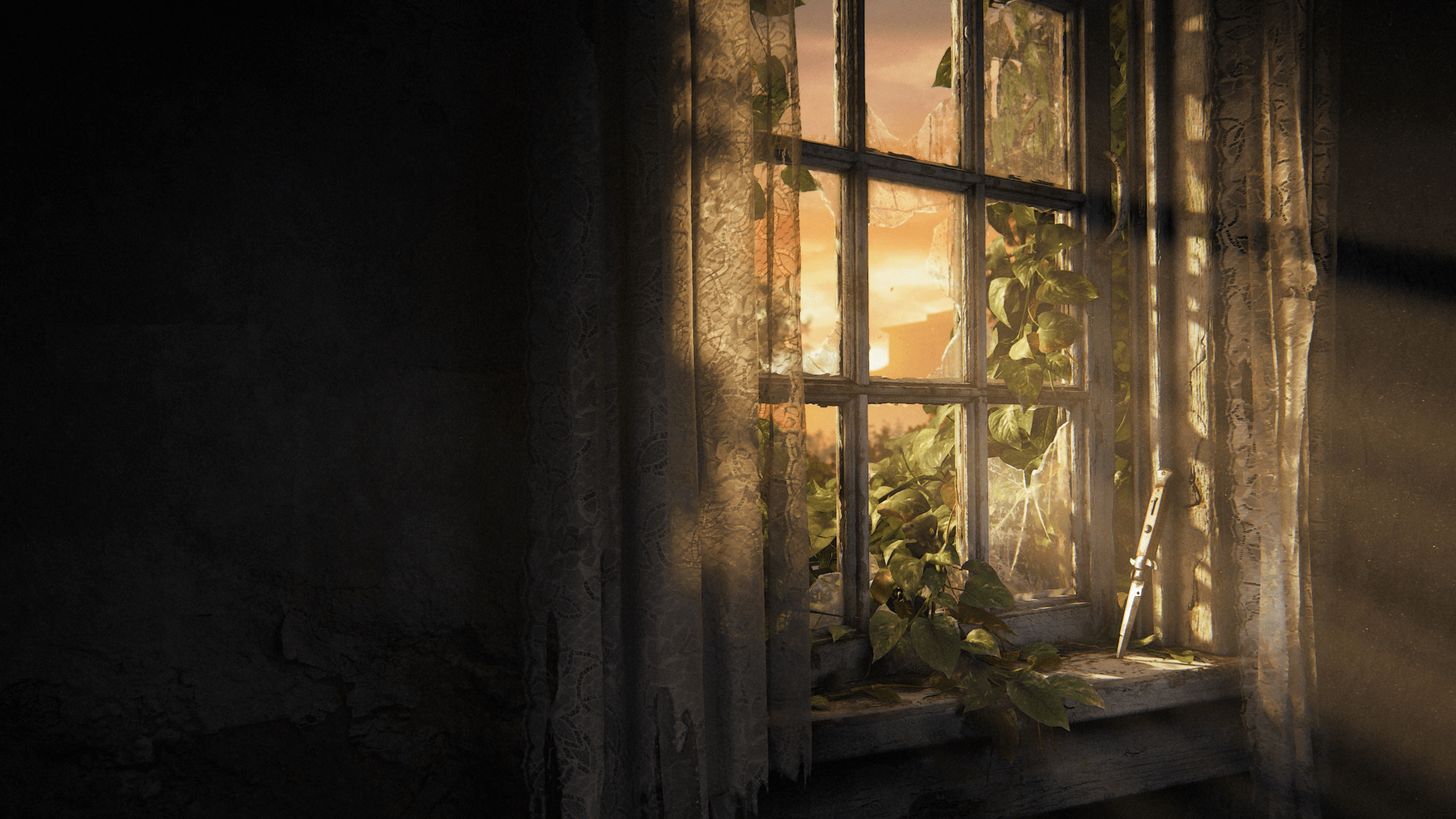 1920x1080 The Last Of Us Window Wallpaper
