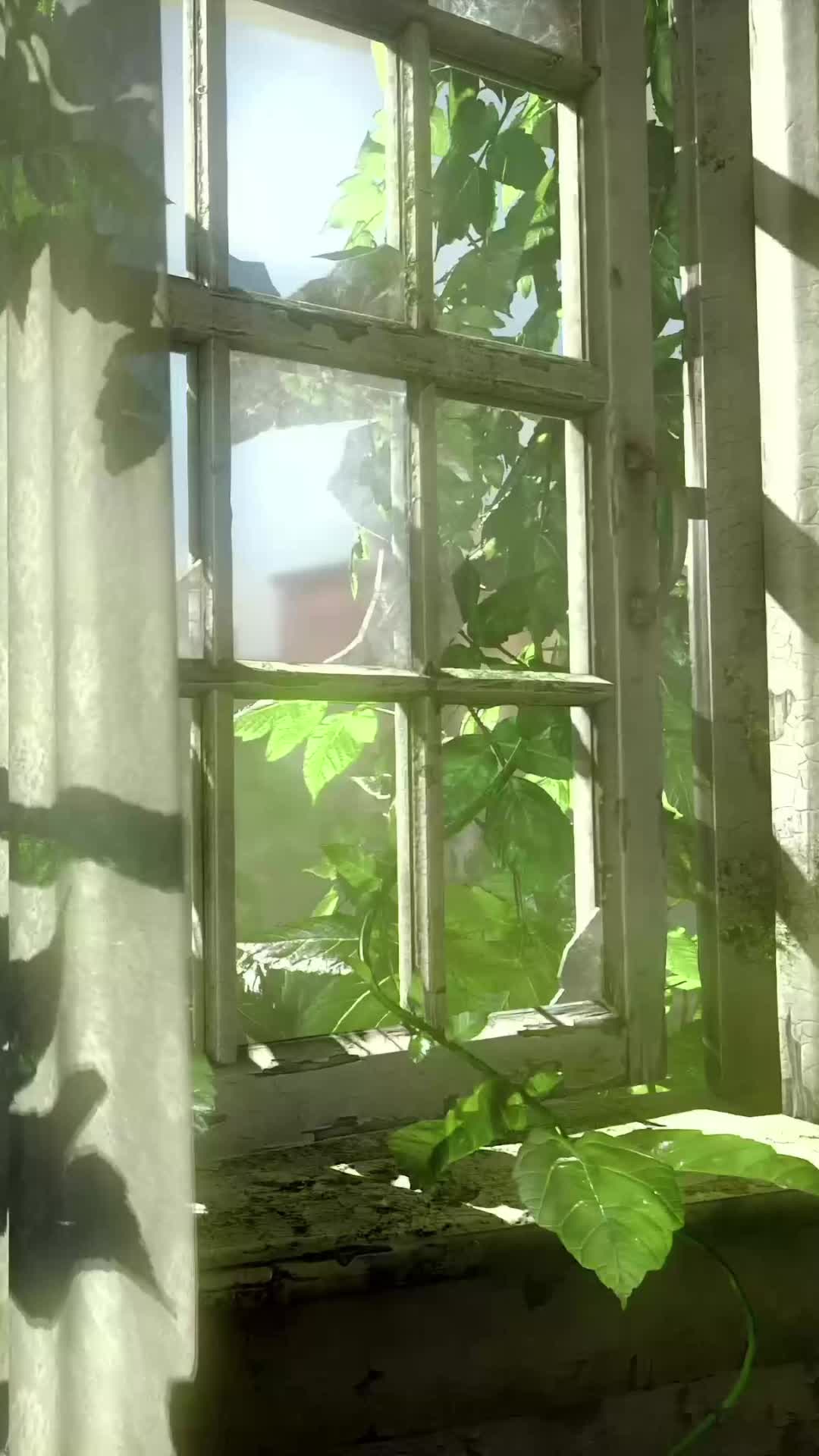 1080x1920 Window The Last Of Us Live Wallpaper