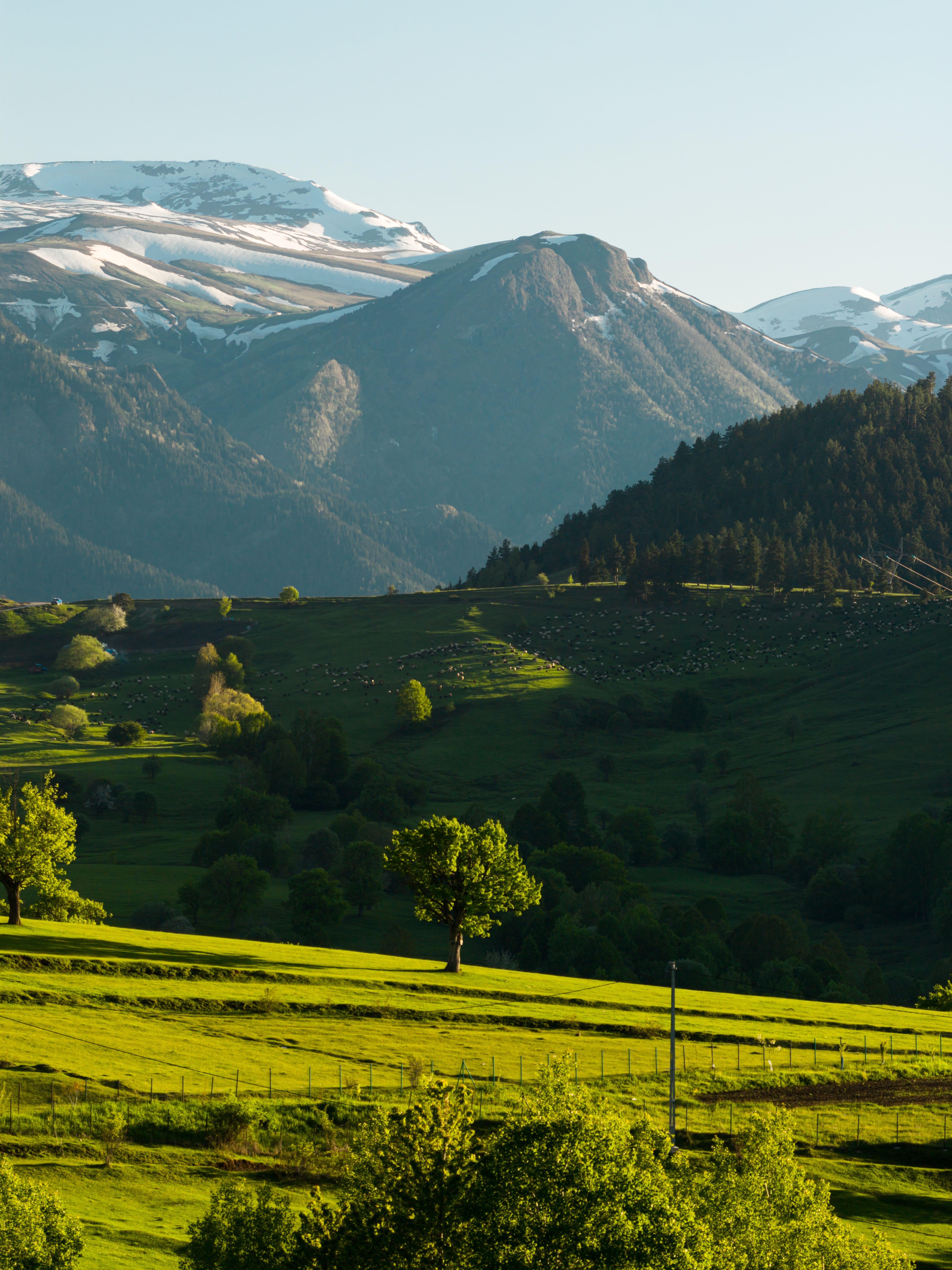 6136x8184 Scenic View of Artvin Mountains in Summer · Free