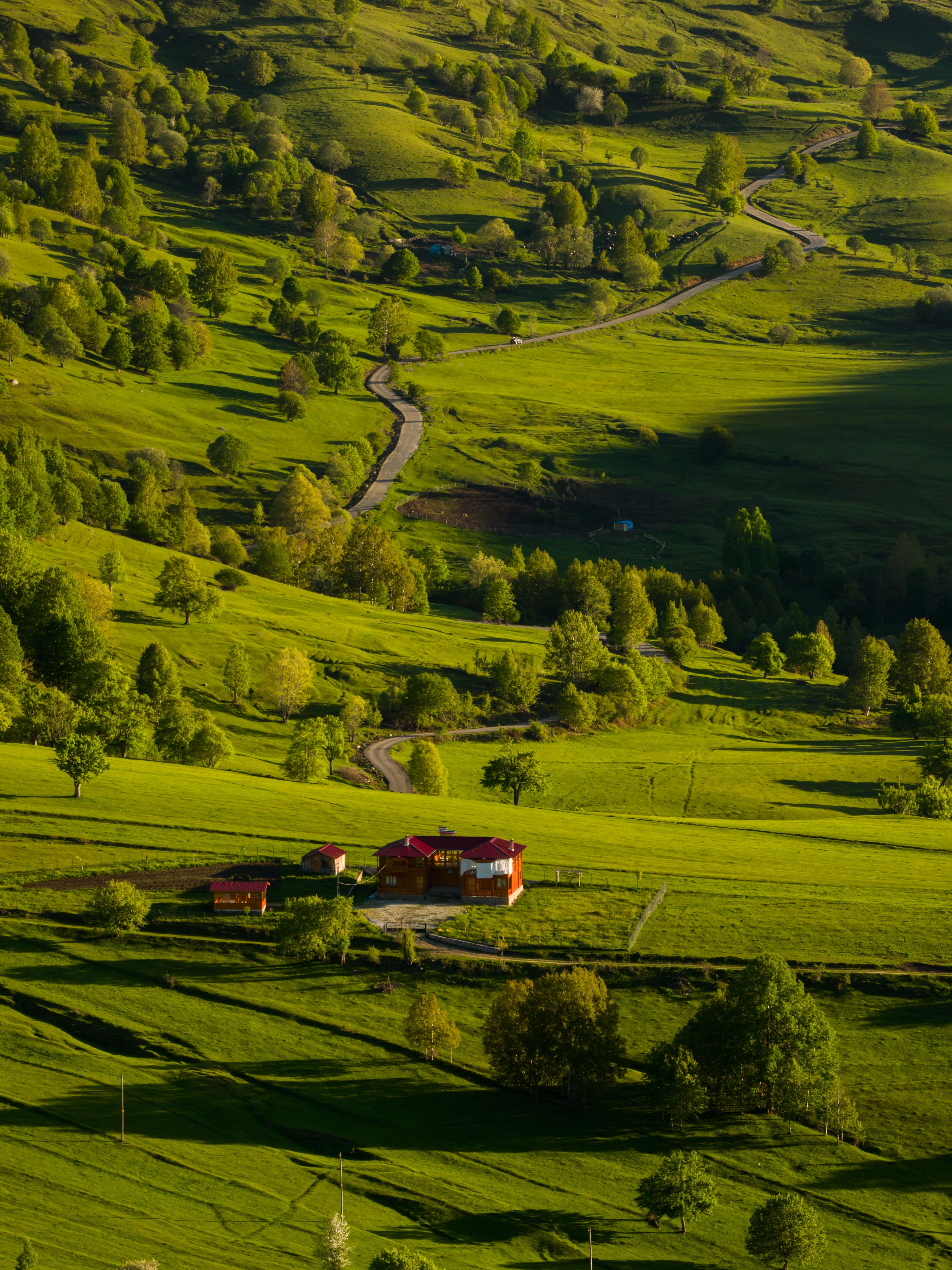6136x8184 Lush Green Landscape in Artvin, Türkiye · Free