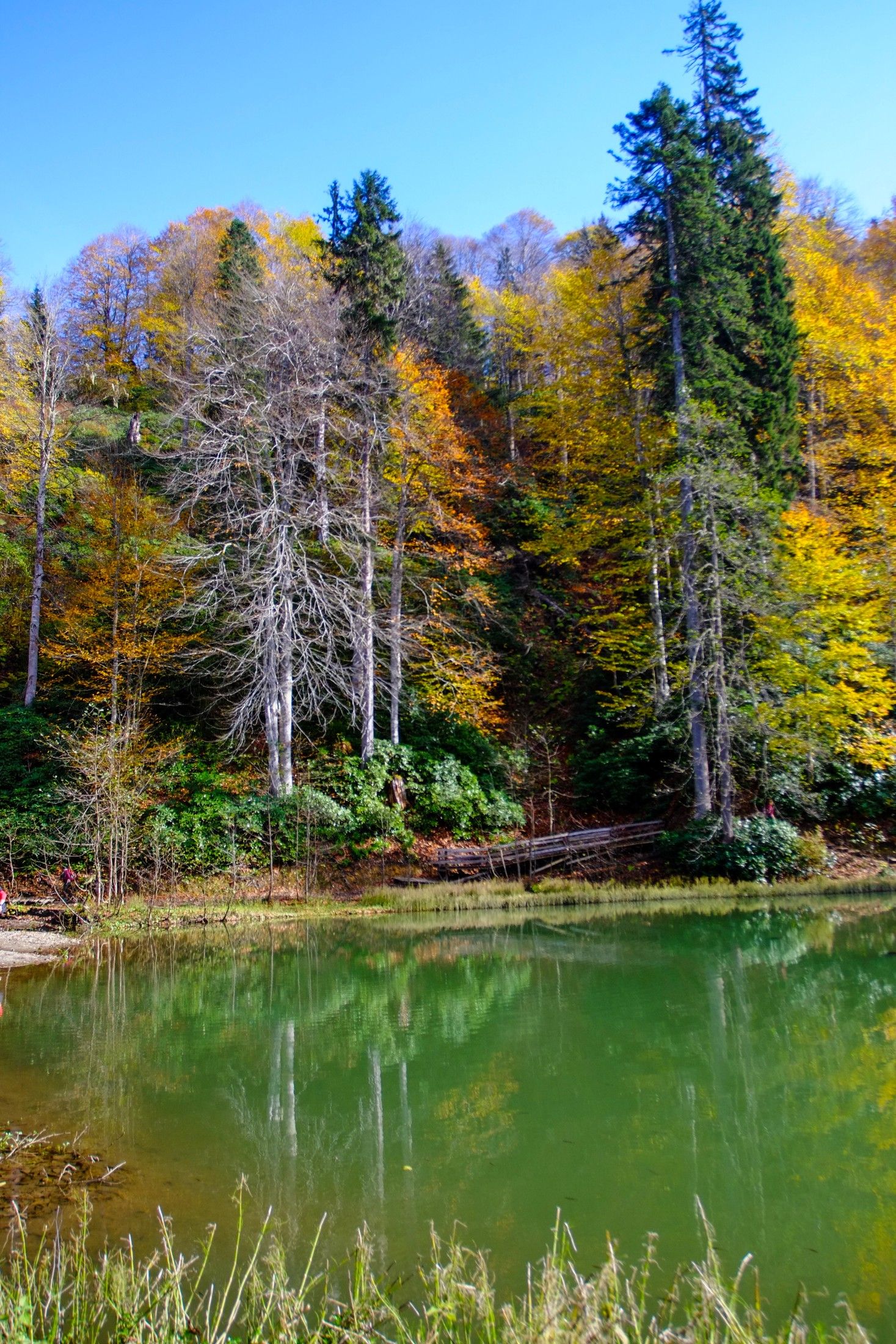 1467x2200 Artvin Sea mountains with rivers that won't slow down