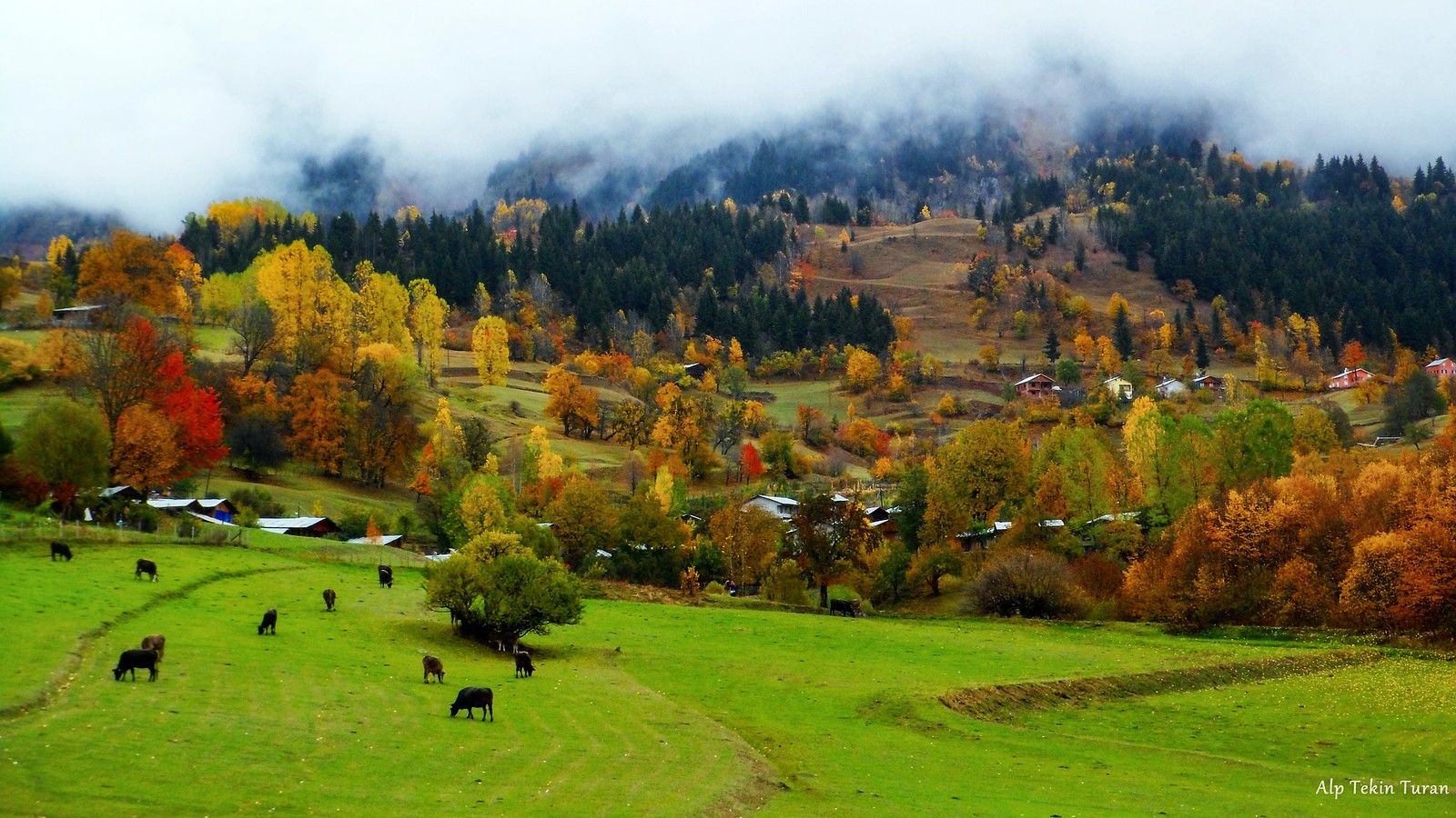 1600x900 Autumn in Artvin, Turkey