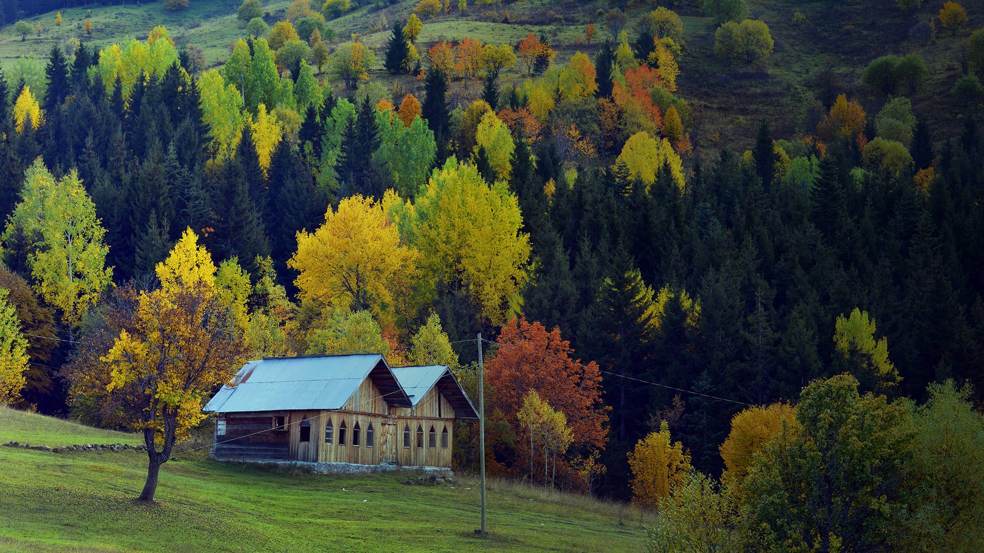 1920x1080 Local Experiences in Artvin Guide. Go Türkiye