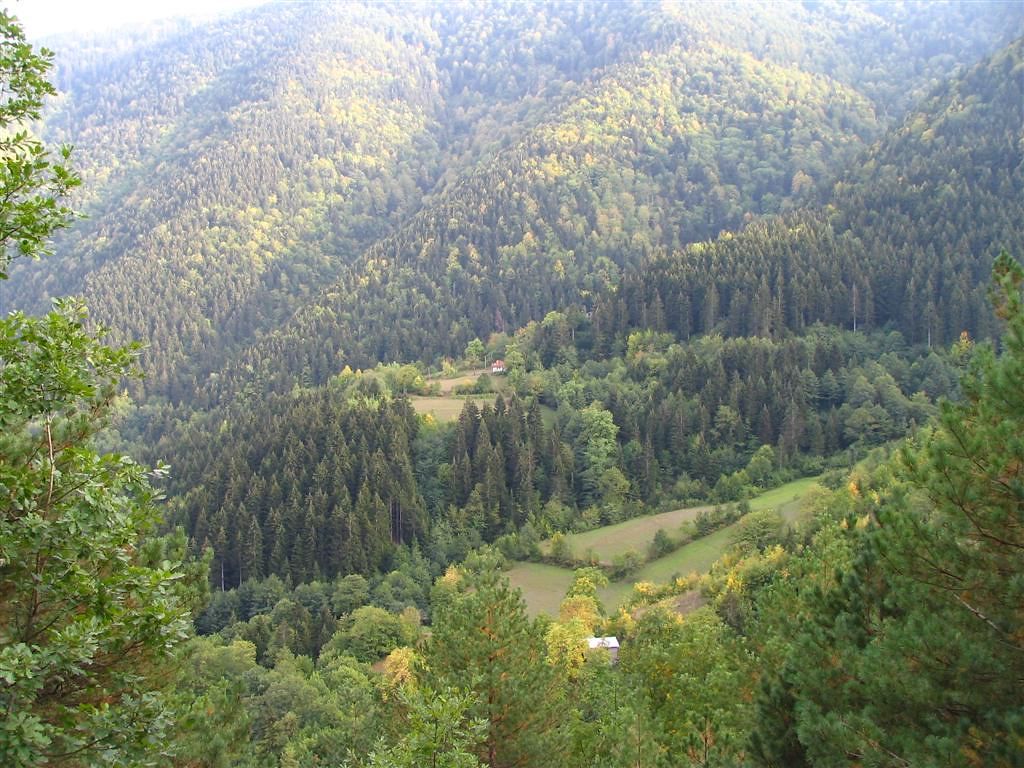 1024x768 artvin