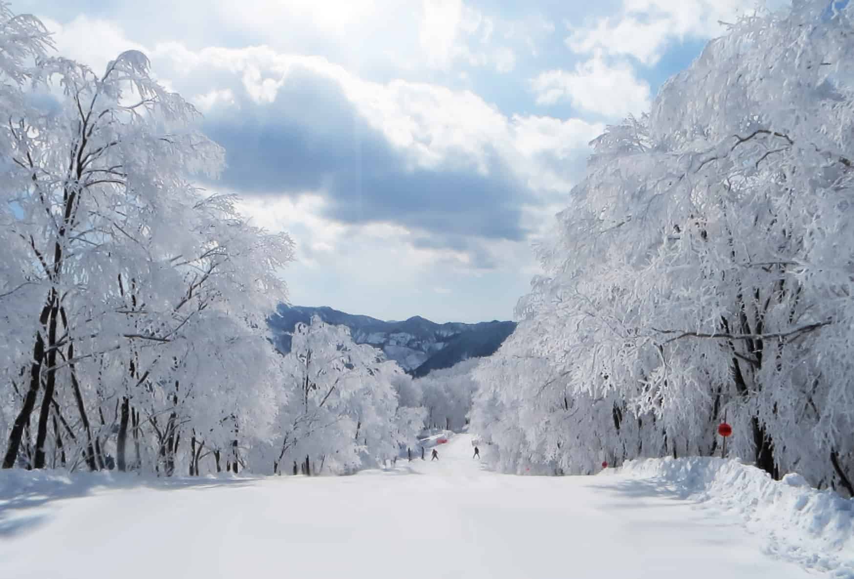 1748x1186 The Ultimate Guide to Skiing in Hakuba