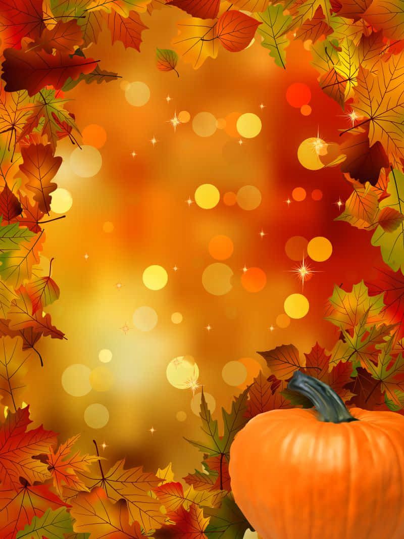 800x1067 Download Colorful and Festive Fall Festival Wallpaper