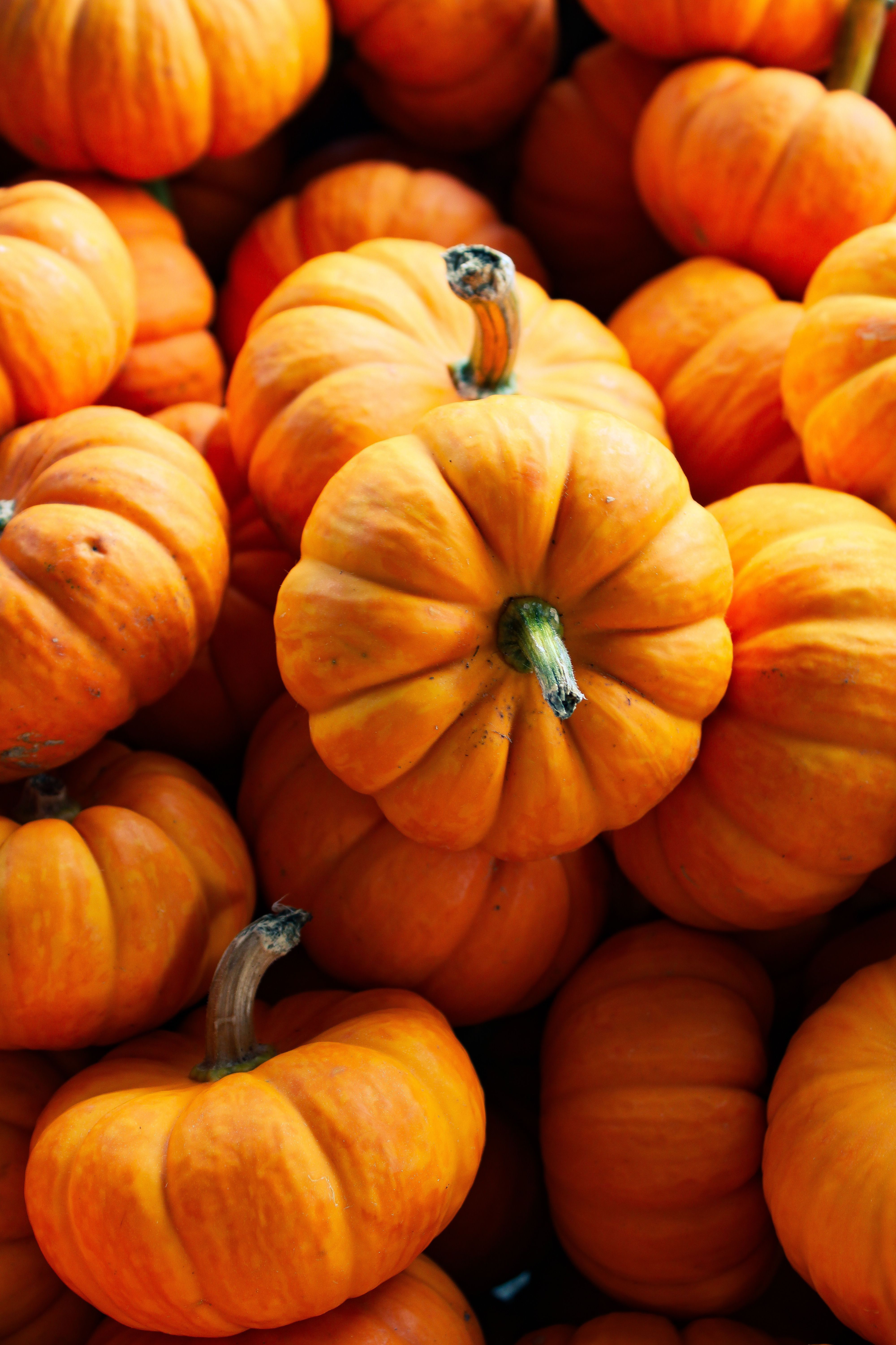 4000x6000 Fall Festival Photo, Download The BEST Free Fall Festival & HD Image