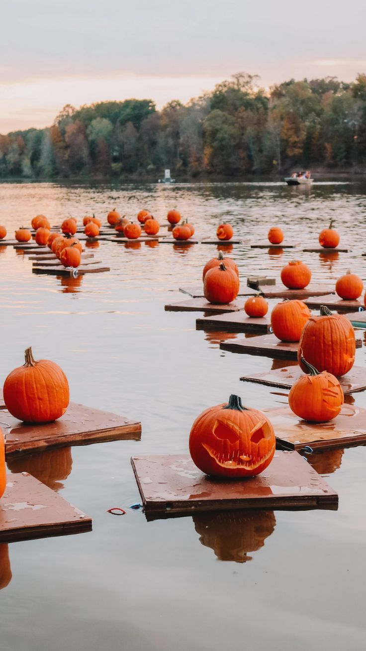 736x1308 Fall Wallpaper