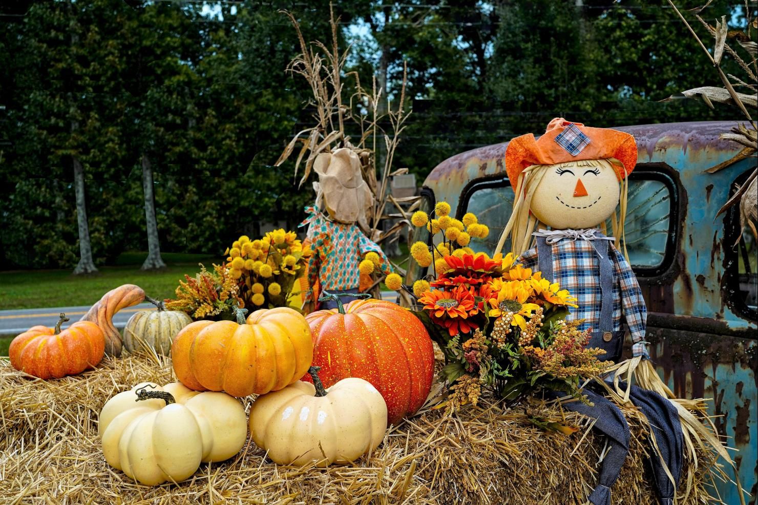 1480x986 This Is The Best Fall Festival In Florida