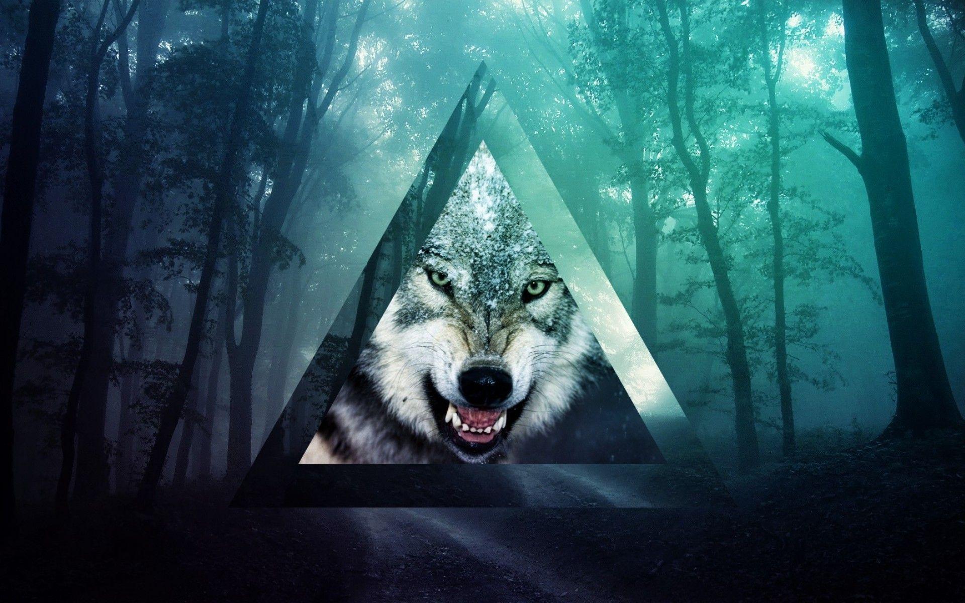 1920x1200 Wolf Desktop Wallpaper