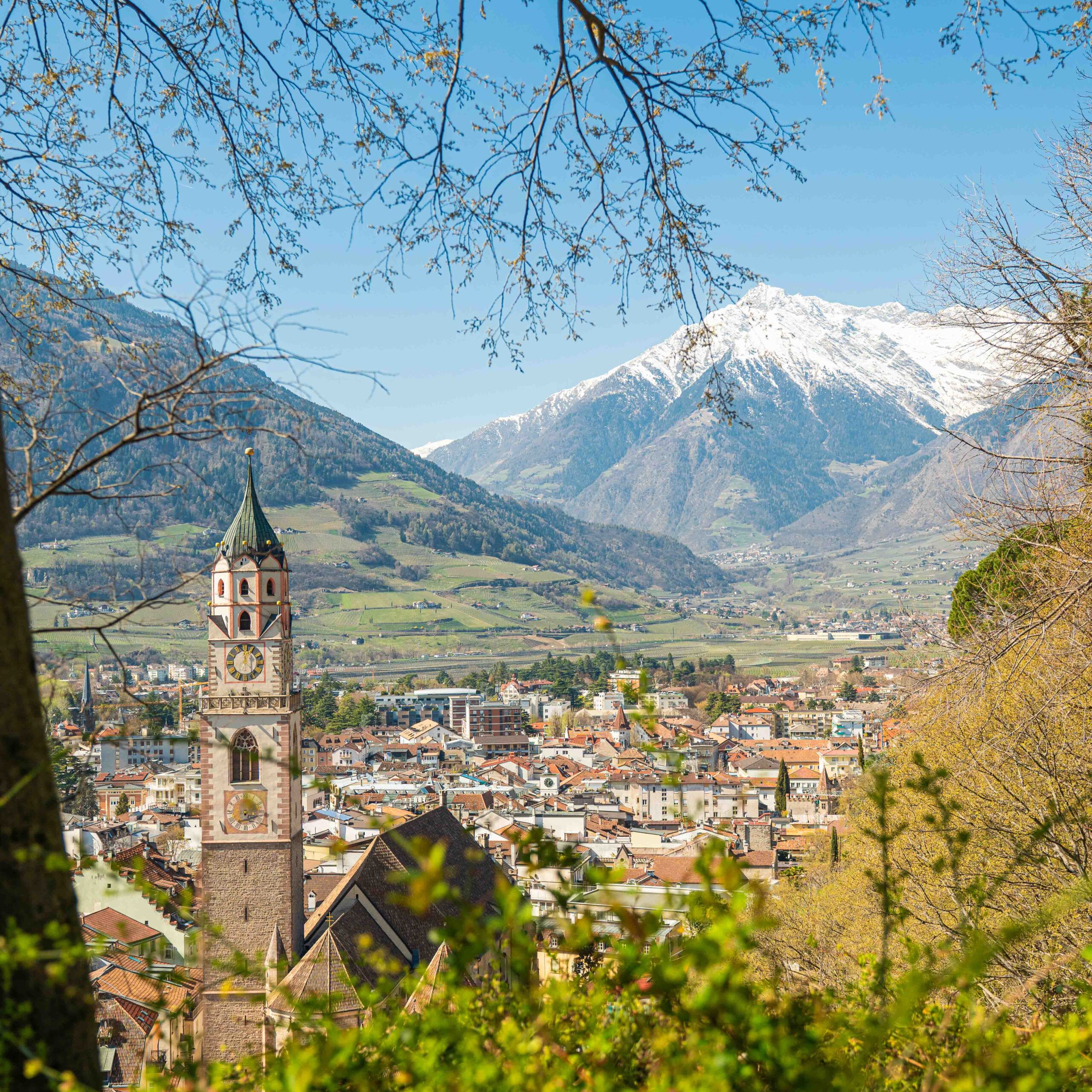 2560x2560 Merano & South Tyrol Sonnegg in Saltaus